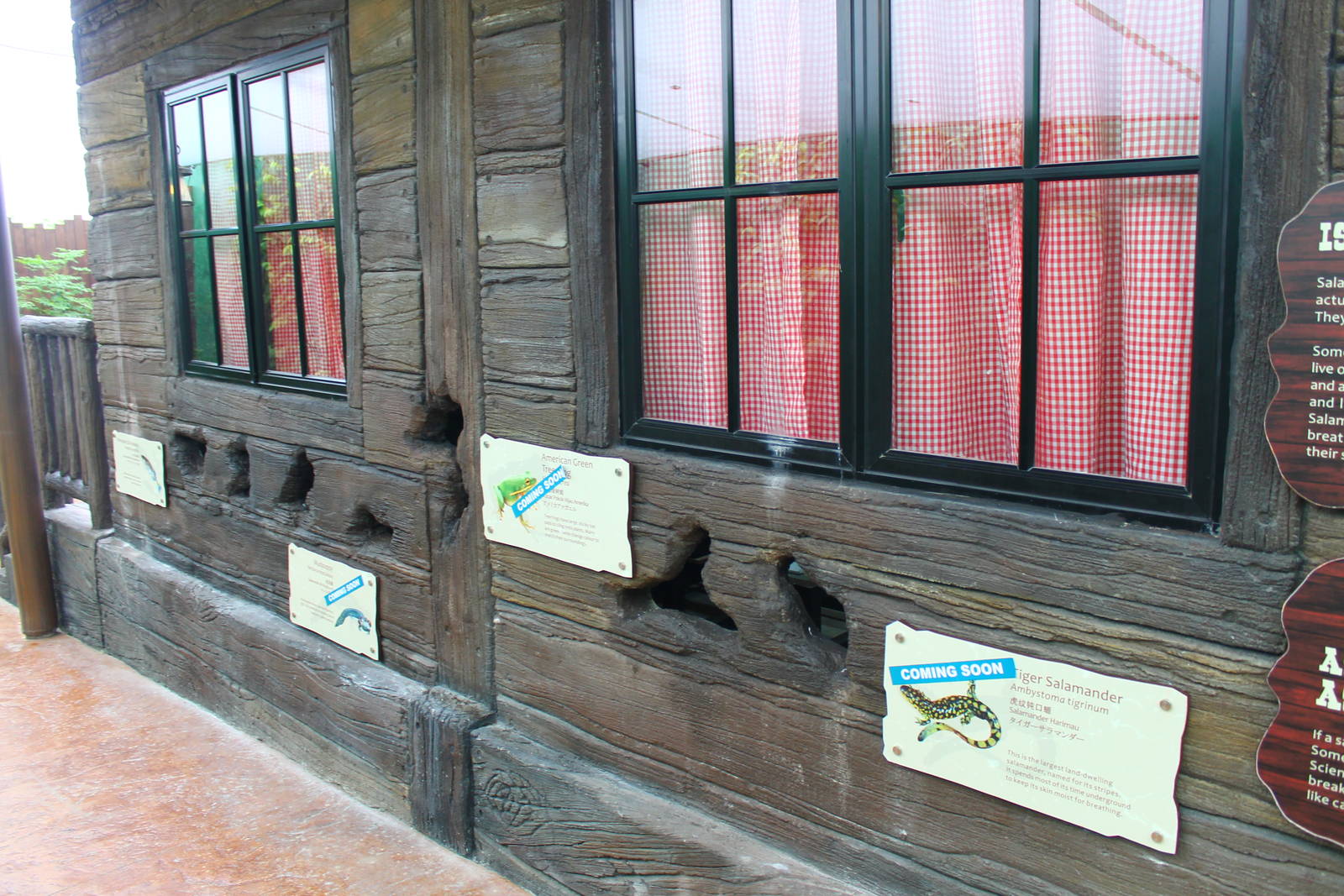 Rivers of the World - Mississippi River