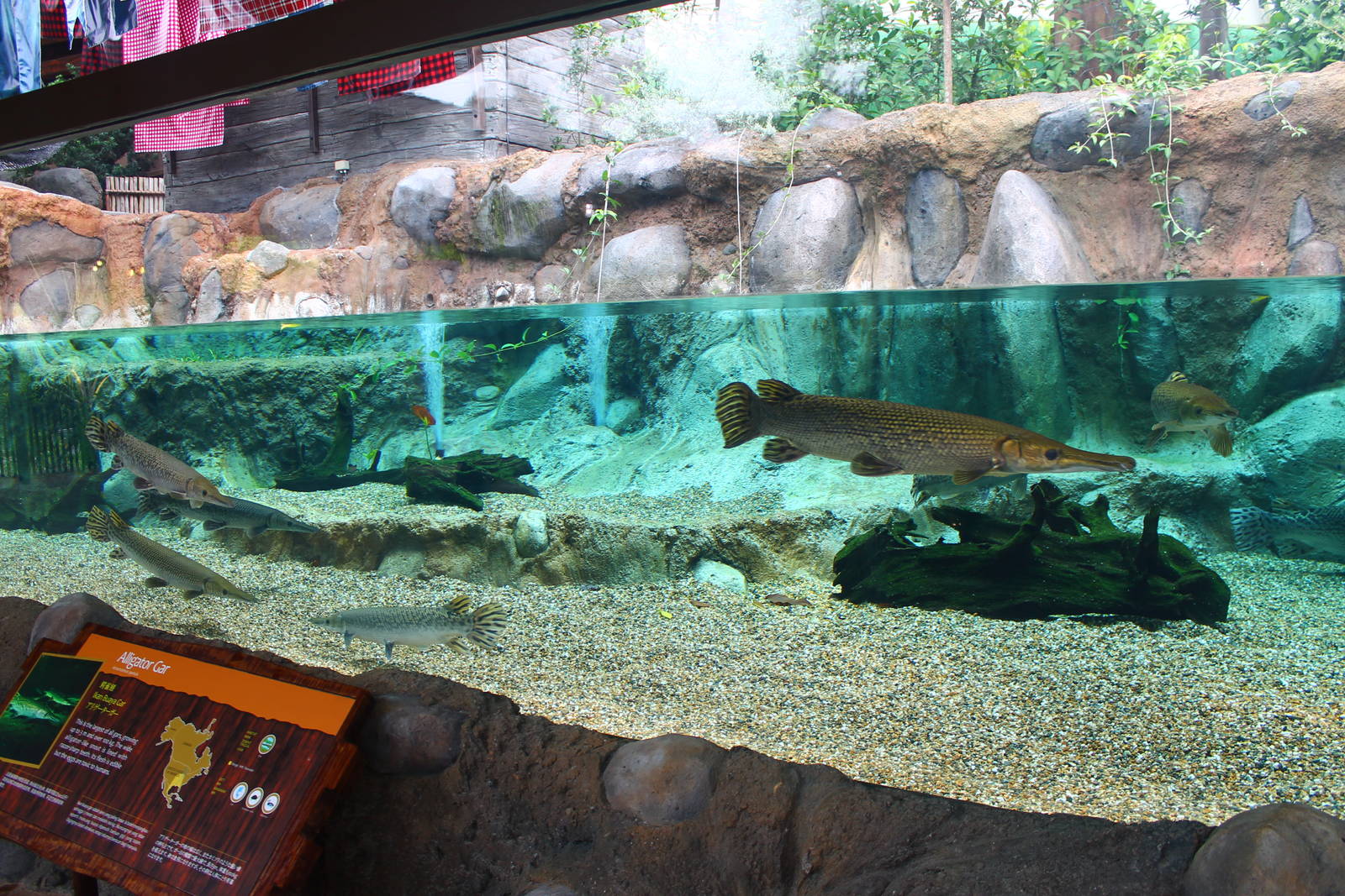 Rivers of the World - Mississippi River