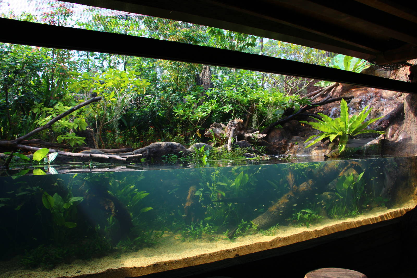 Rivers of the World - "Welcome" exhibit