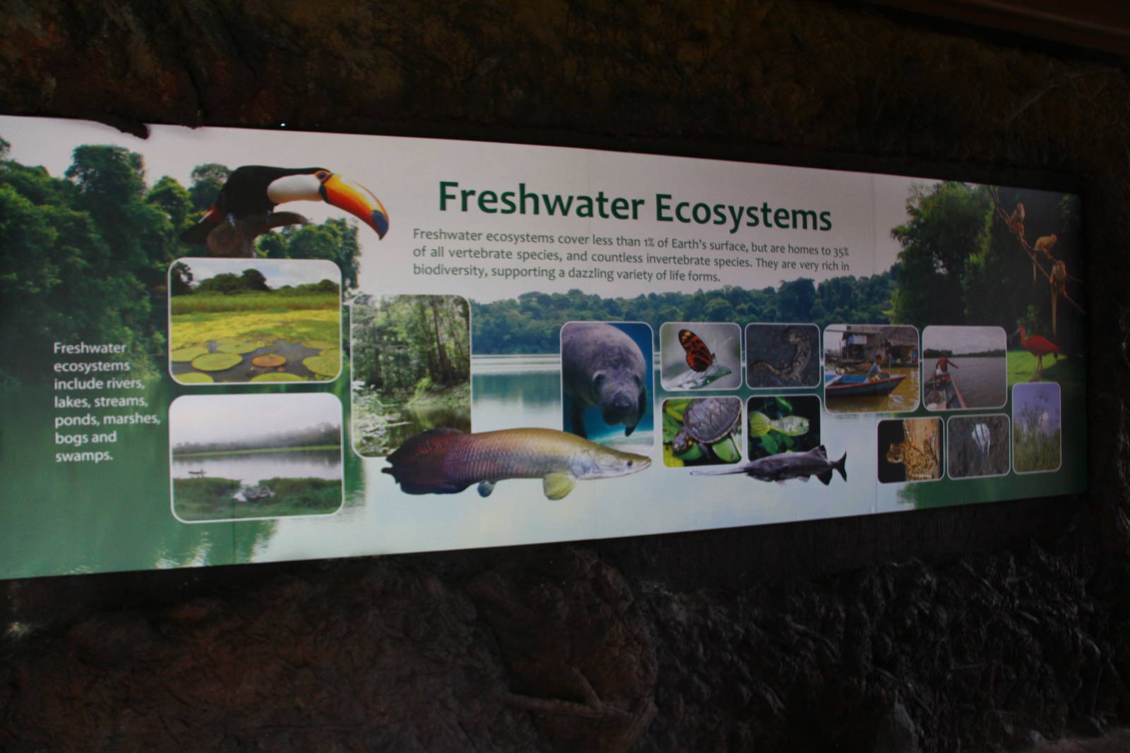 Rivers of the World - Signage