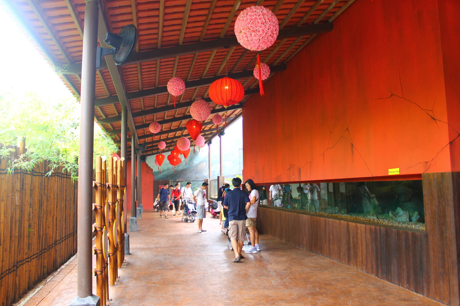 Rivers of the World - Yangtze River