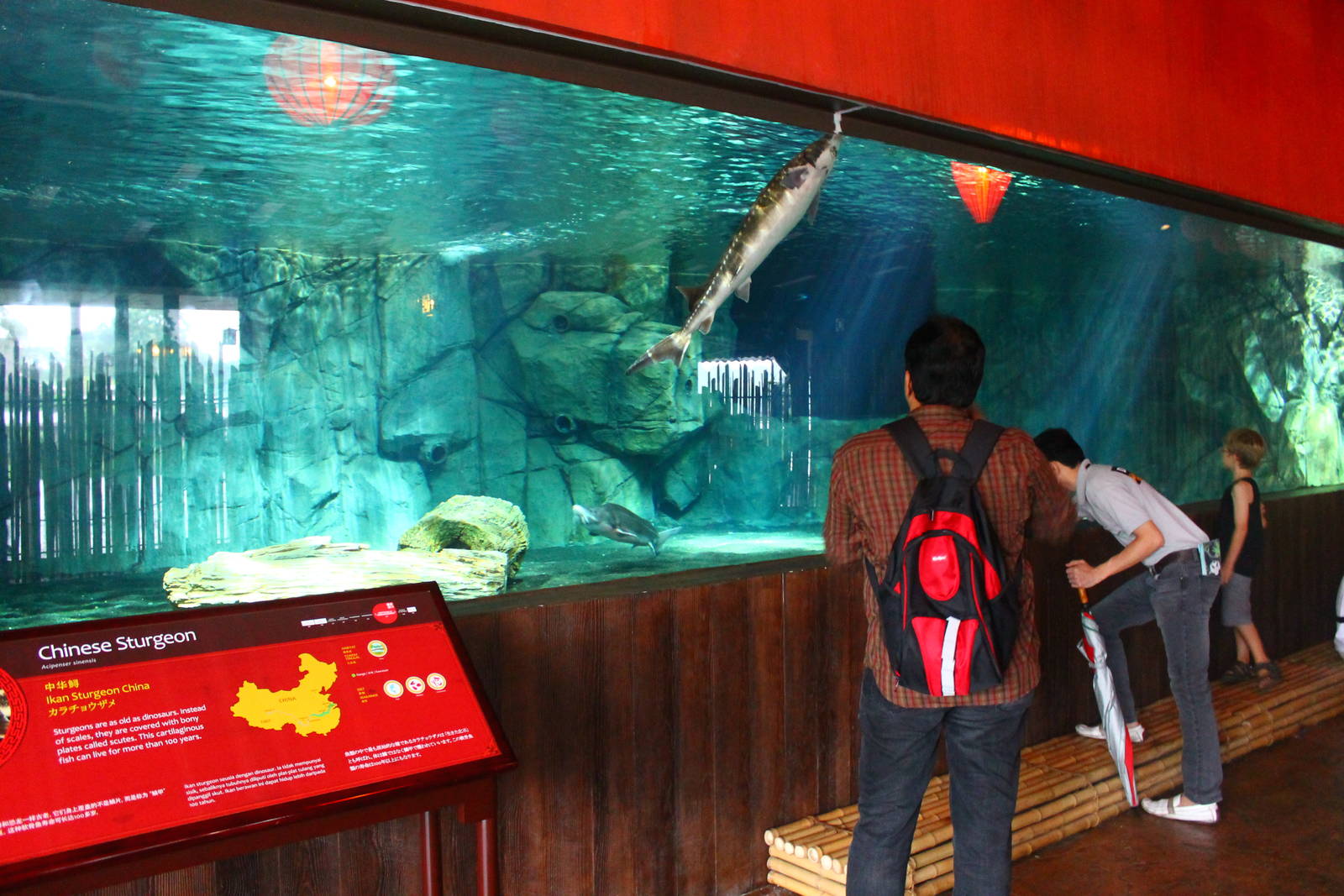 Rivers of the World - Yangtze River