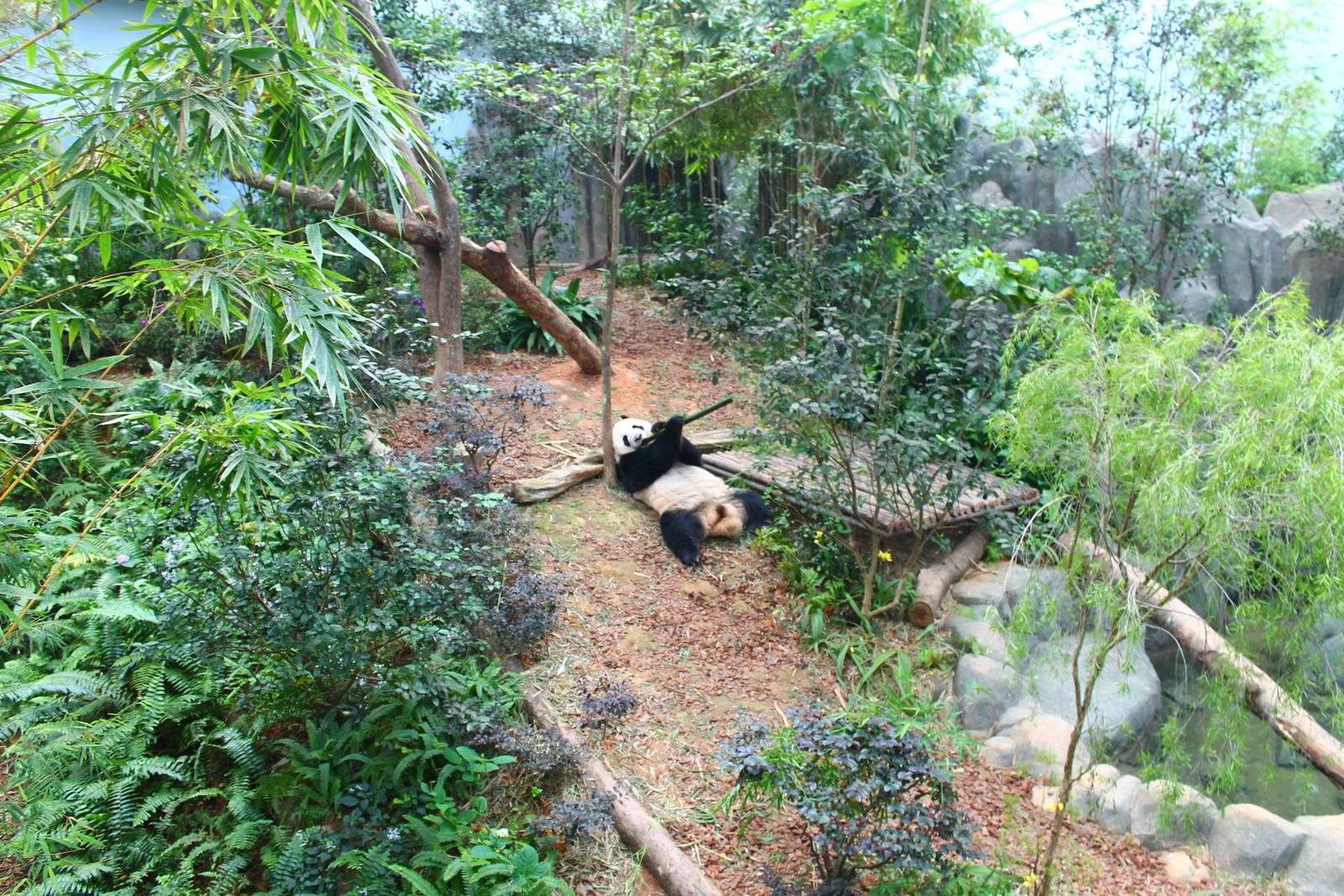 Rivers of the World - Yangtze River