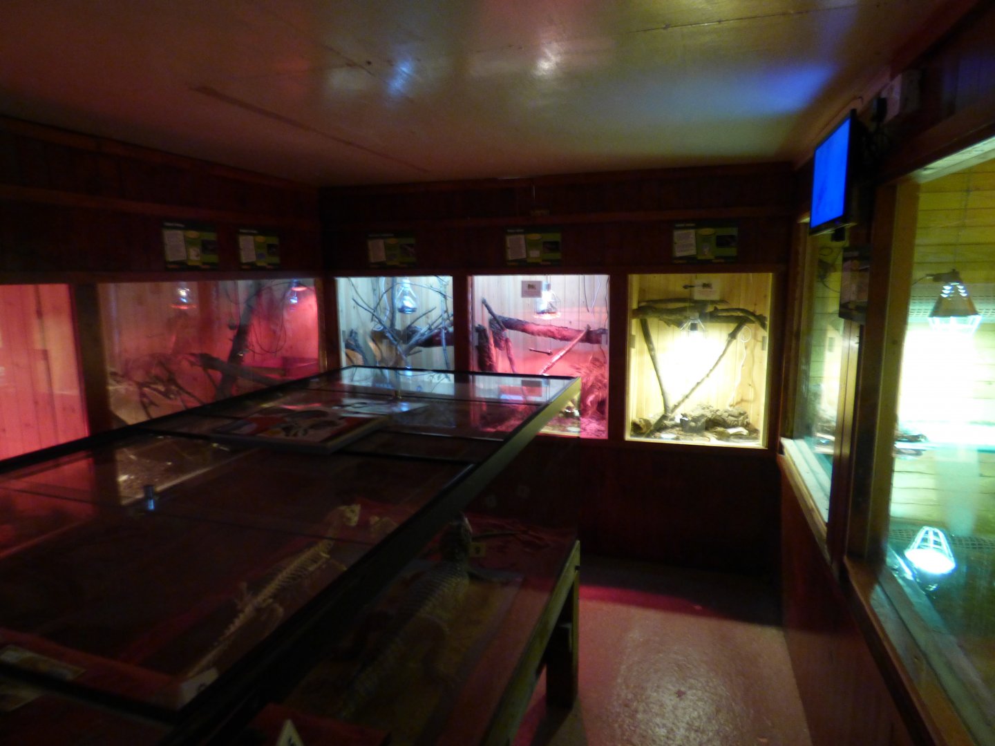 Rivers, Rainforest and Deserts