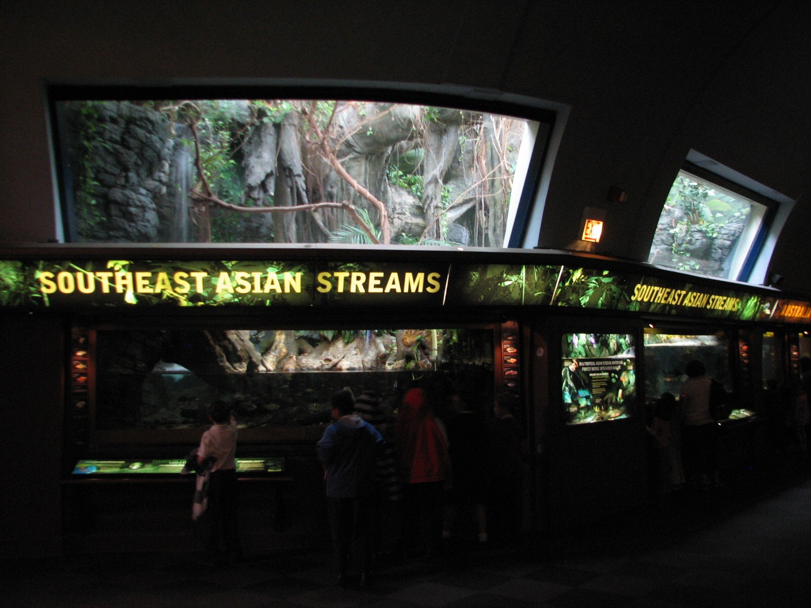 Rivers - Southeast Asian Streams Exhibits