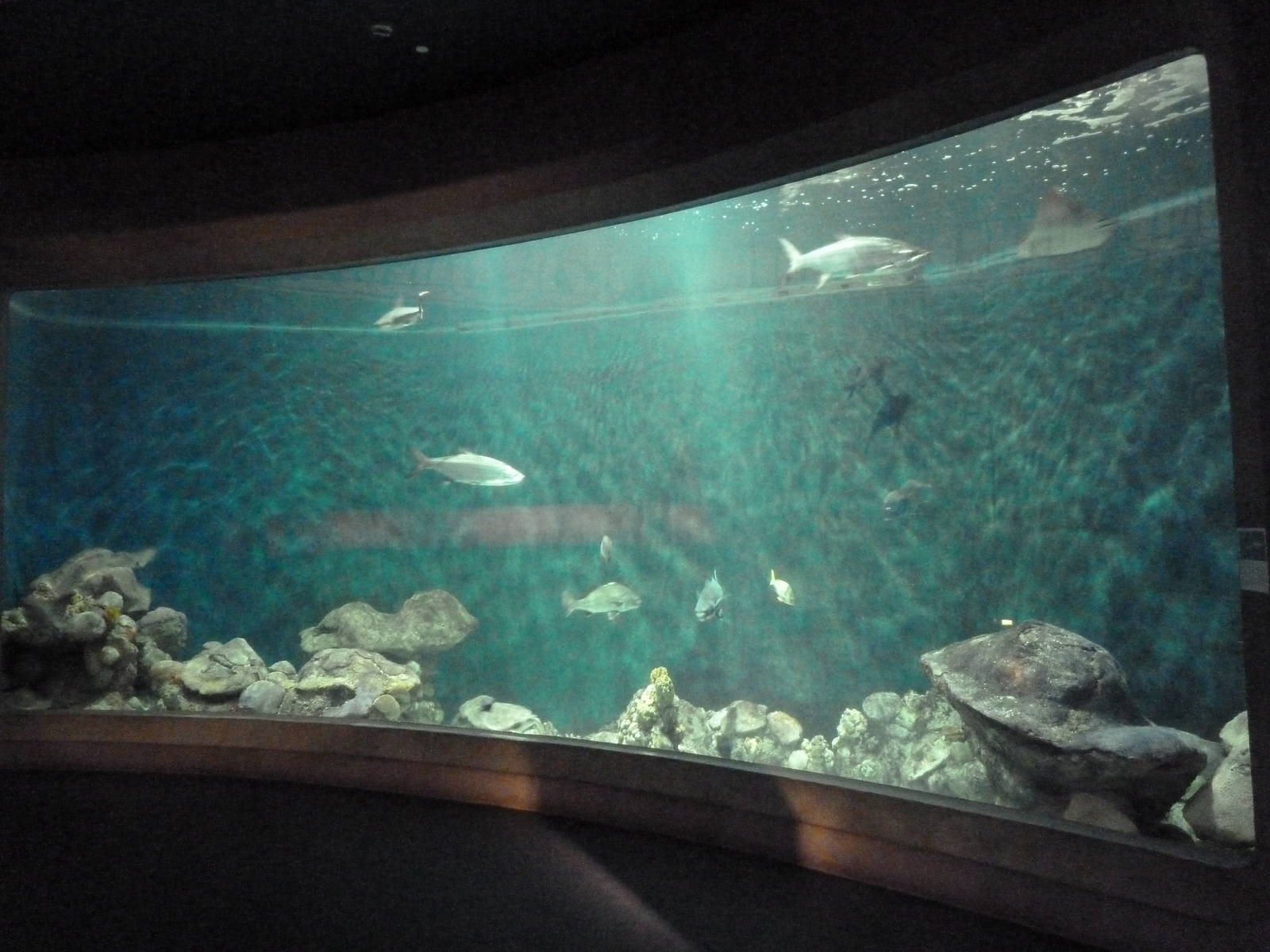 Rivers to the Sea Exhibit