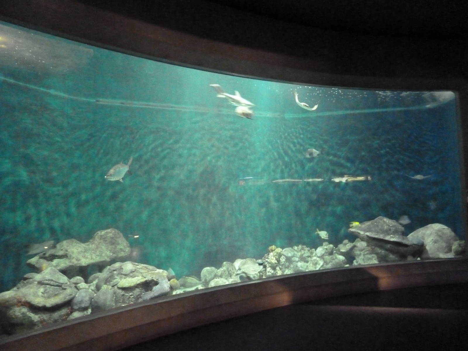 Rivers to the Sea Exhibit