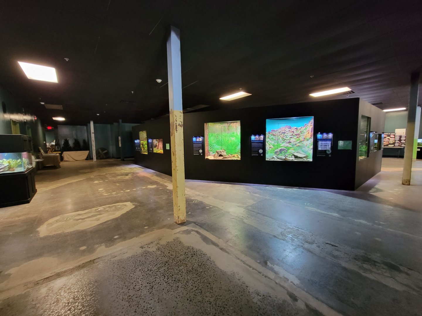 Riverside Reptiles - Exhibits