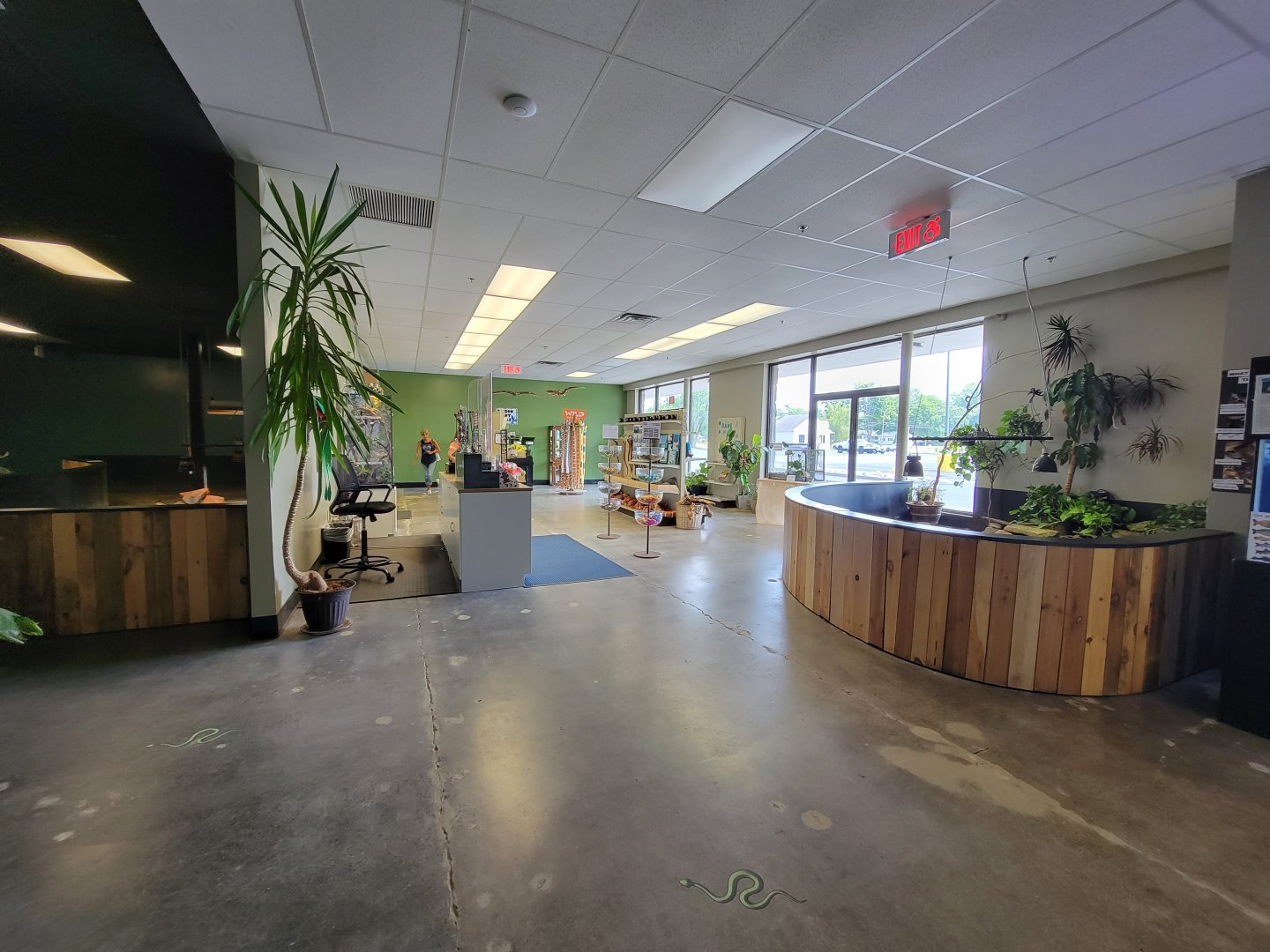 Riverside Reptiles - Gift shop and pond turtle indoor area