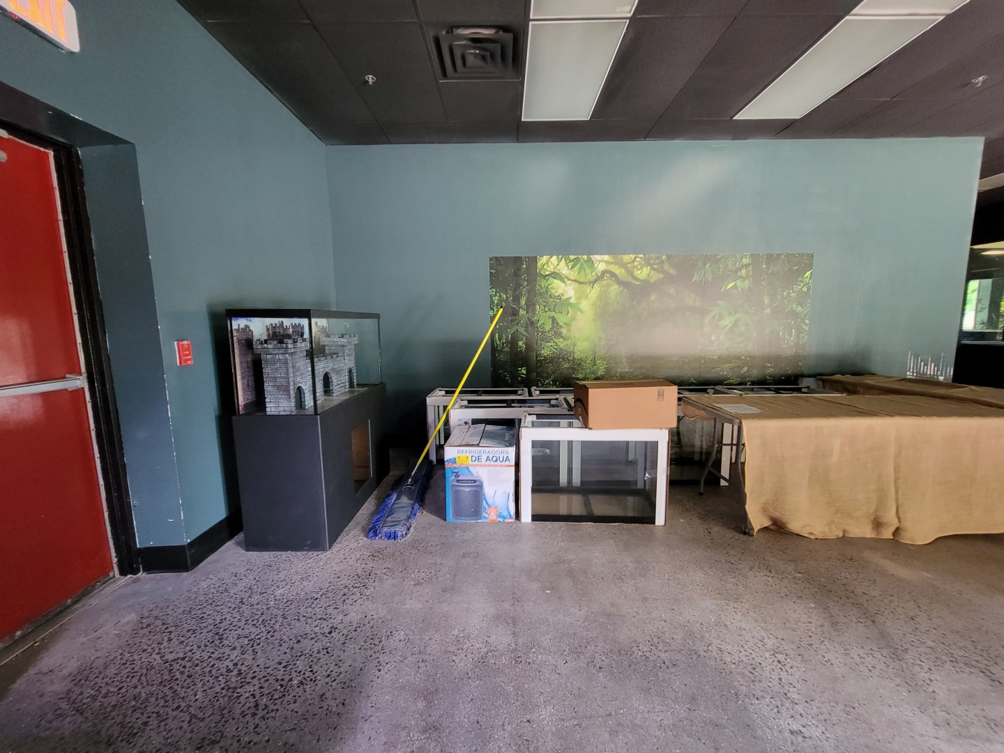 Riverside Reptiles - More tanks to set up