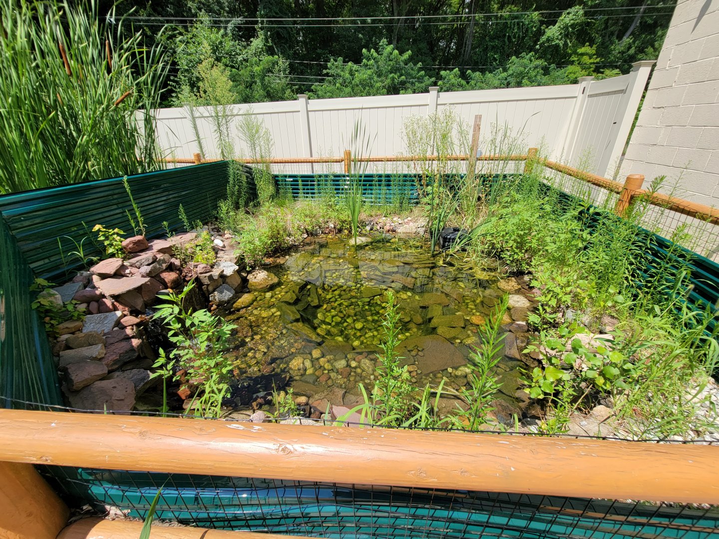 Riverside Reptiles - Outside turtle ponds