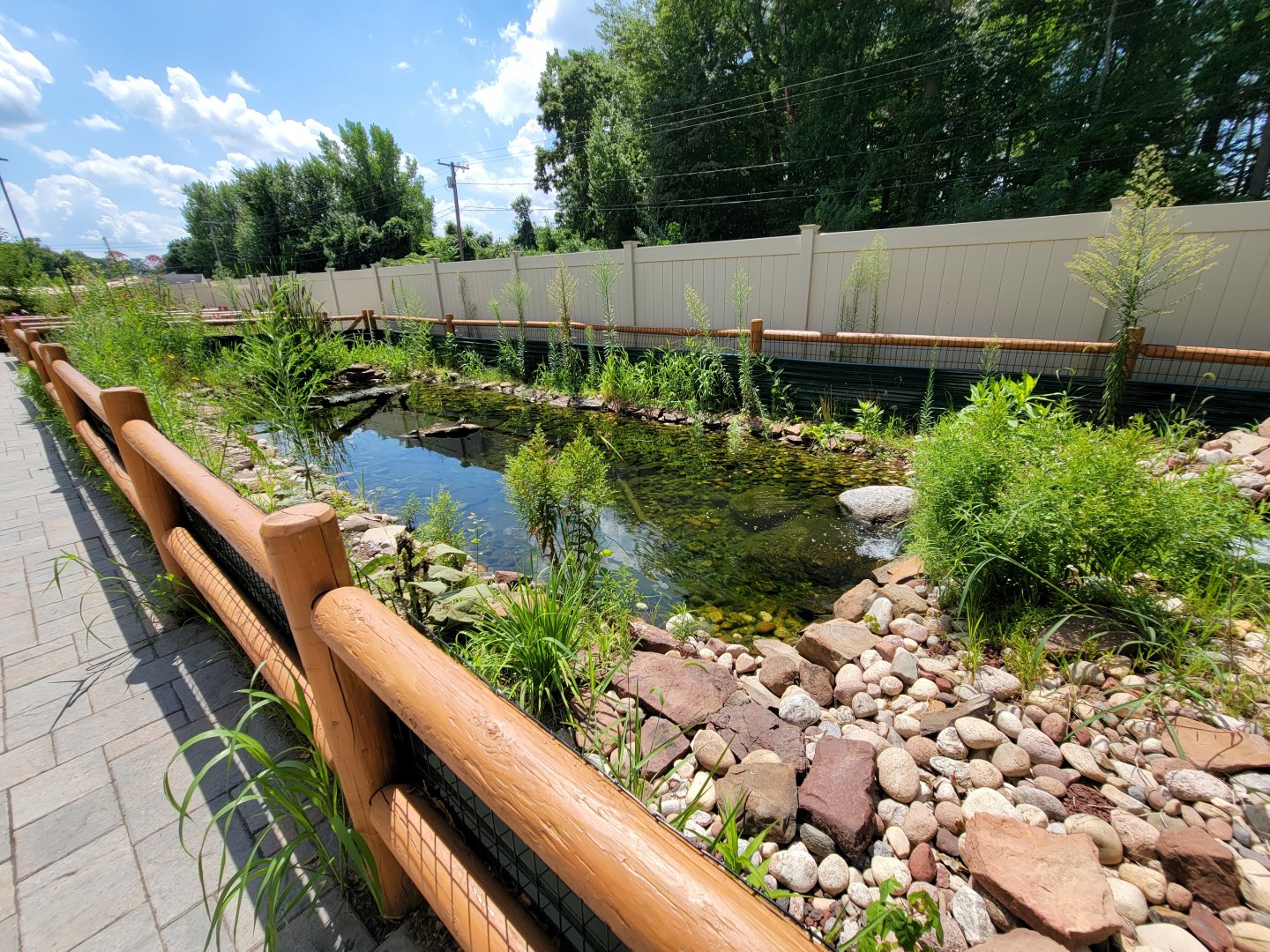 Riverside Reptiles - Outside turtle ponds