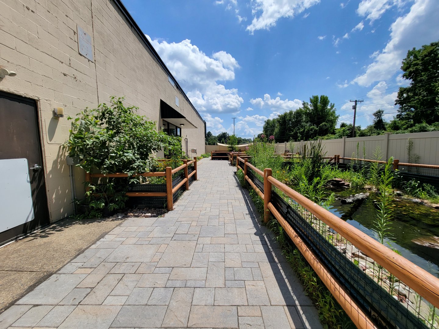 Riverside Reptiles - Outside turtle ponds