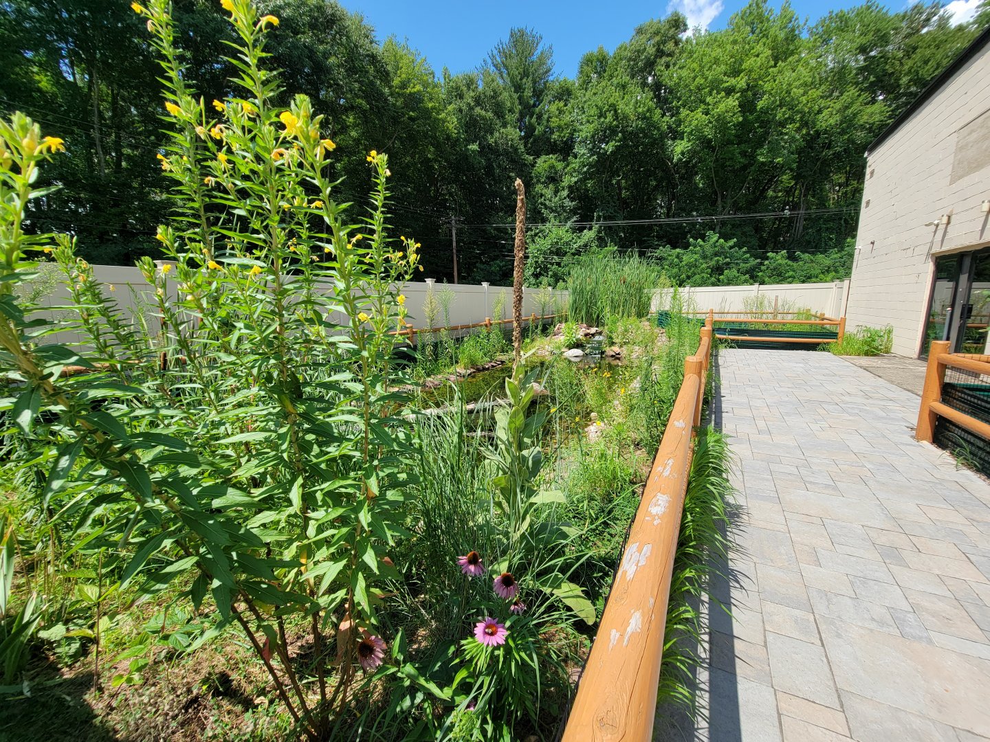 Riverside Reptiles - Outside turtle ponds