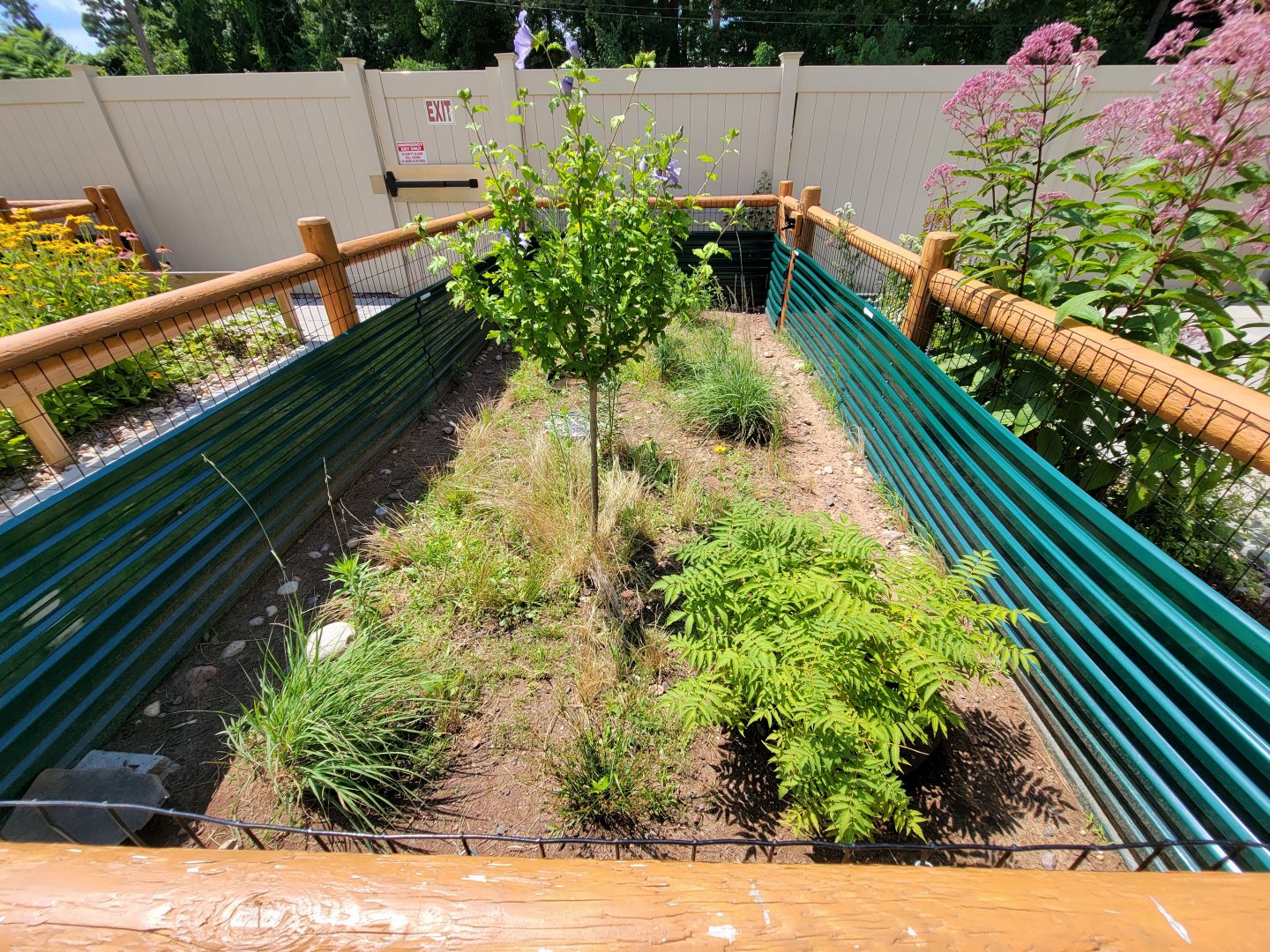 Riverside Reptiles - Outside turtle ponds