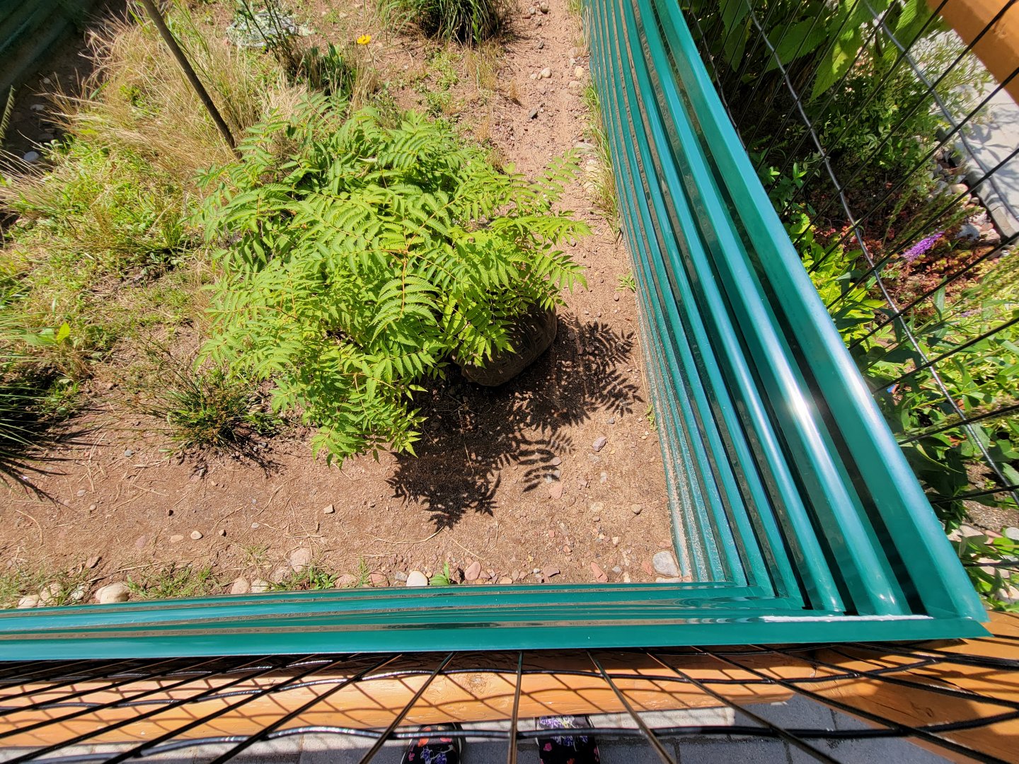 Riverside Reptiles - Outside turtle ponds