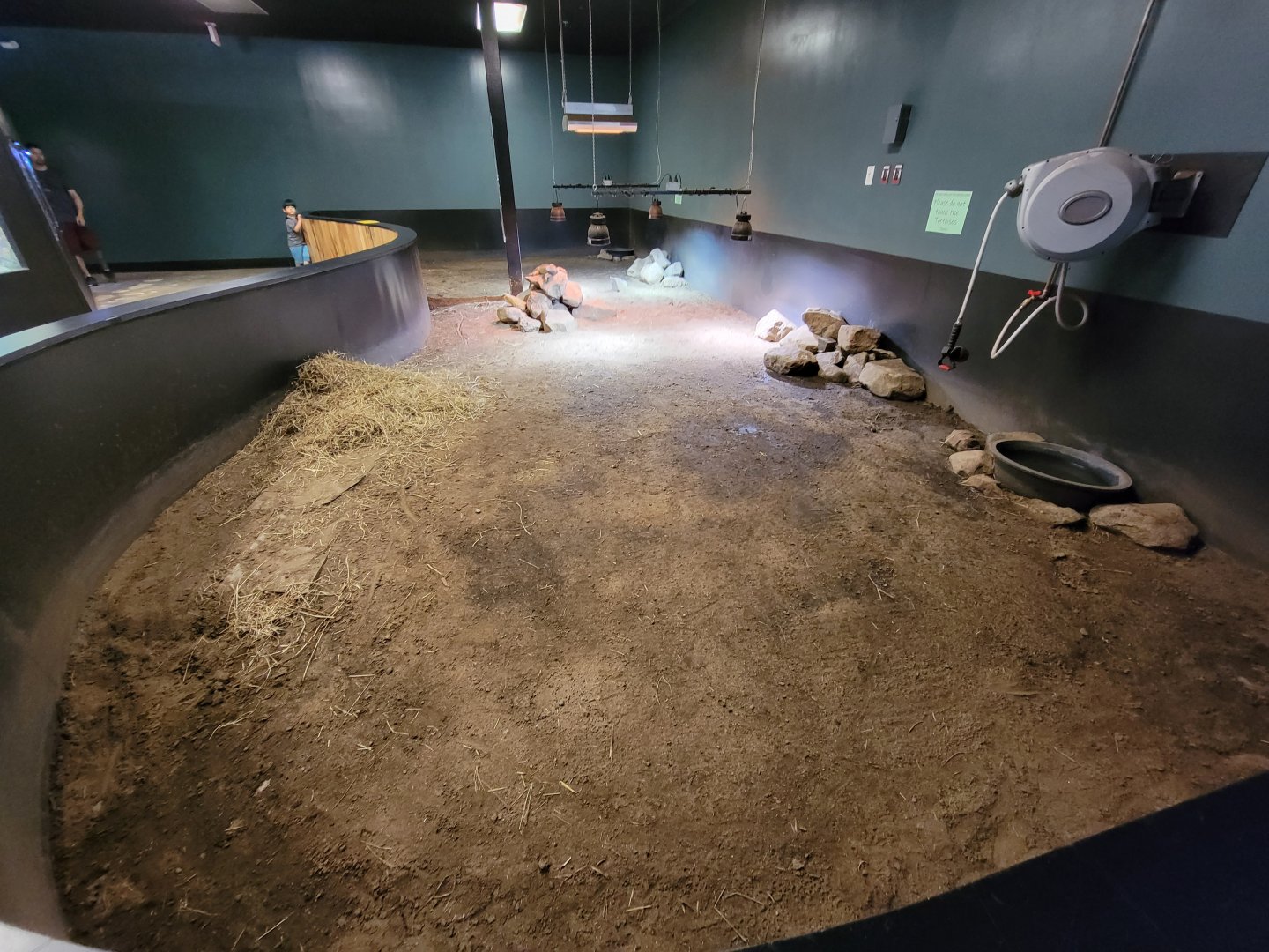 Riverside Reptiles - Sulcata, aldabra, and iguana indoor area