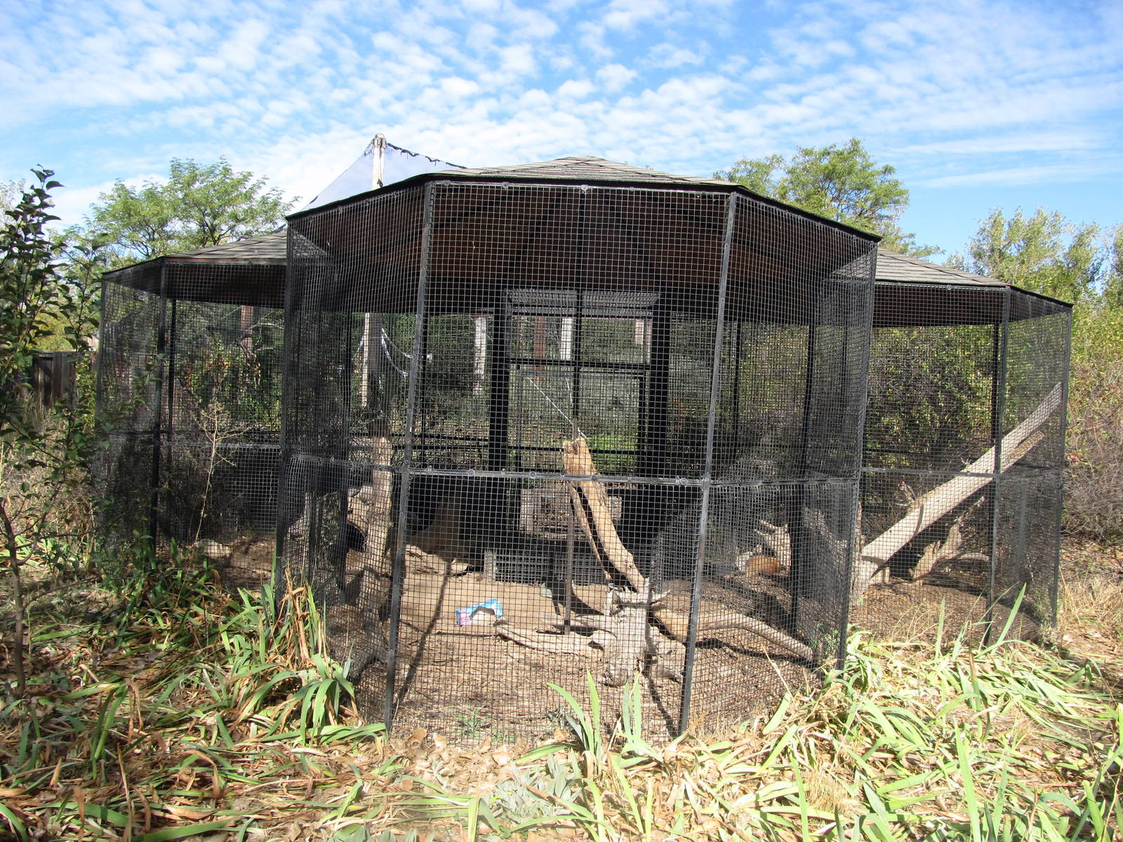 Riverside Zoo - American Badger and Yellow-bellied Marmot Exhibits