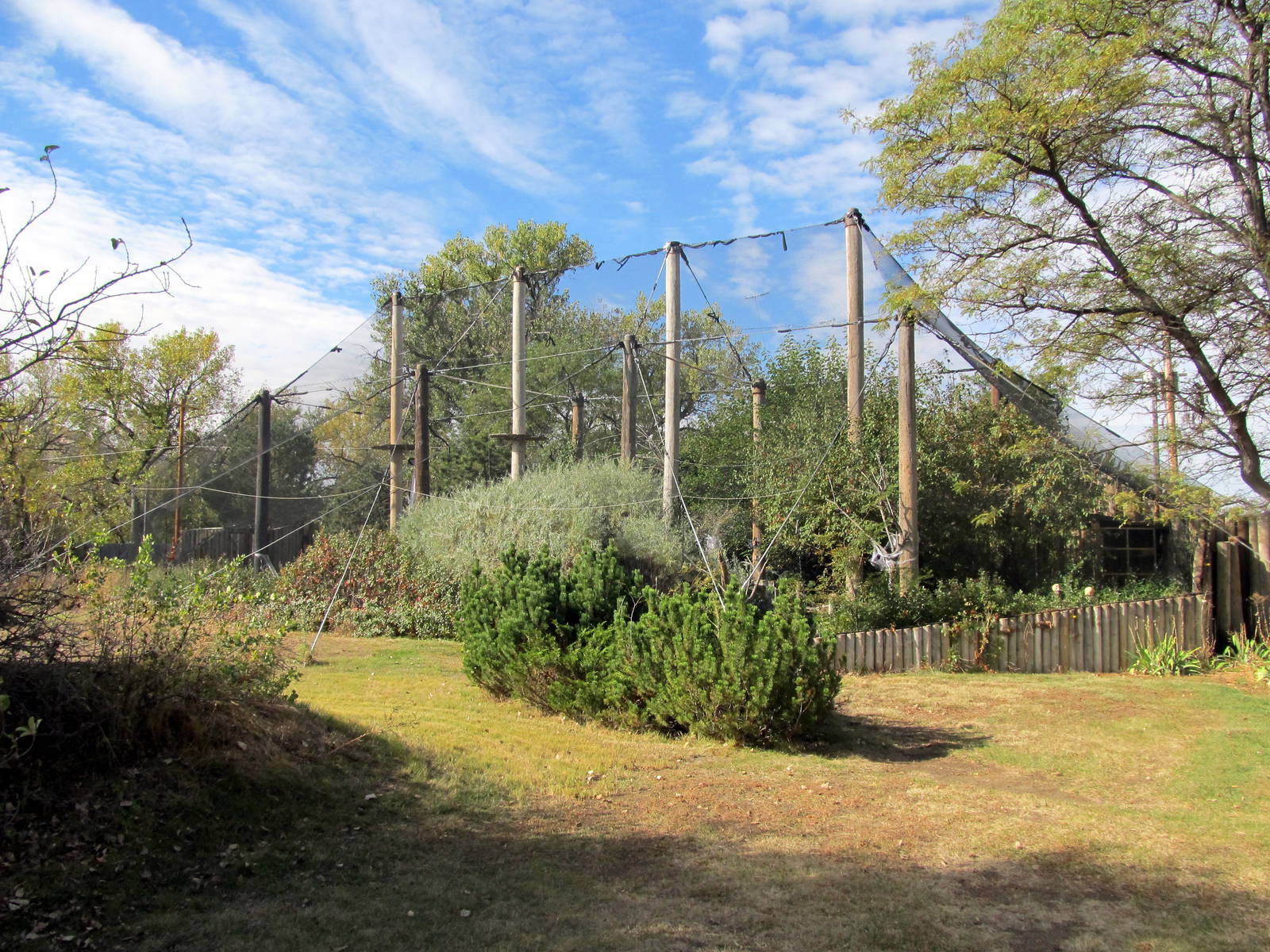Riverside Zoo - Aviary