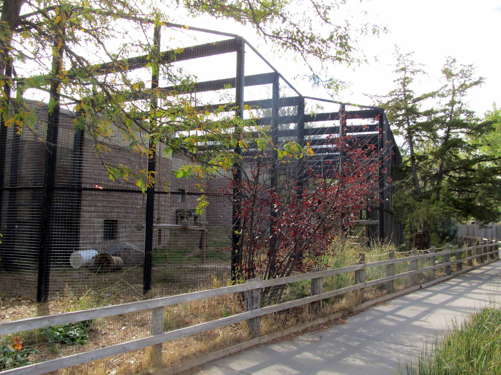 Riverside Zoo - Chimpanzee Exhibit