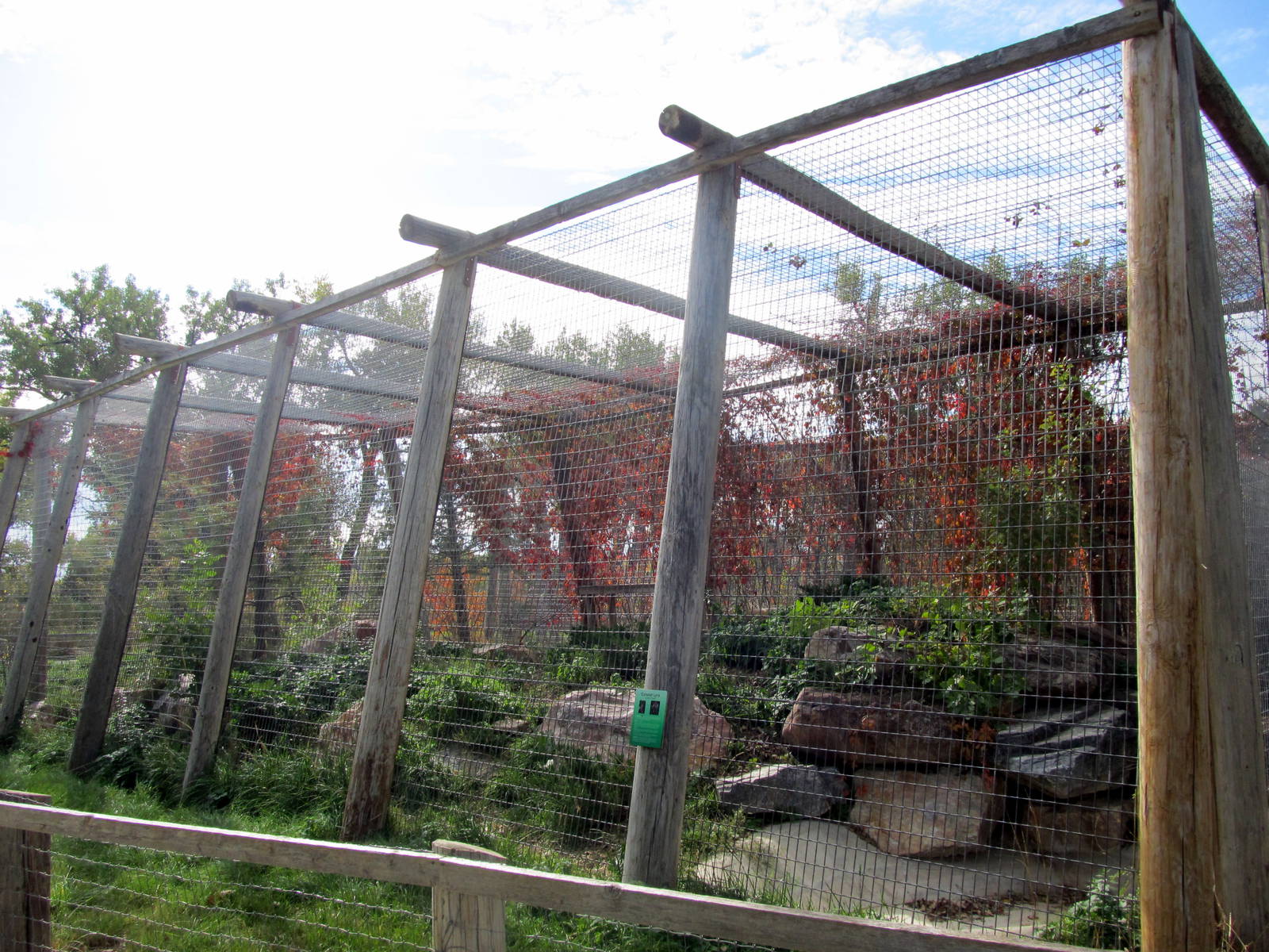 Riverside Zoo - Eurasian Lynx Exhibit