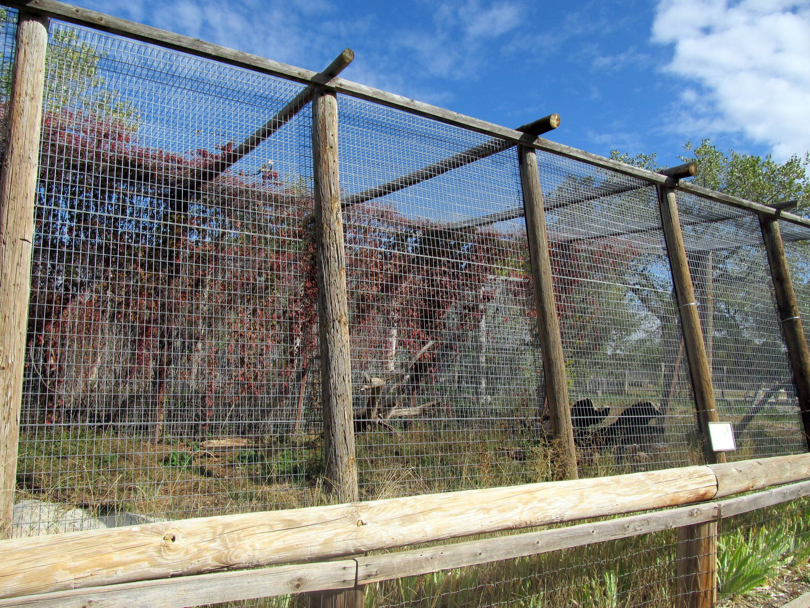 Riverside Zoo - Leopard Exhibit