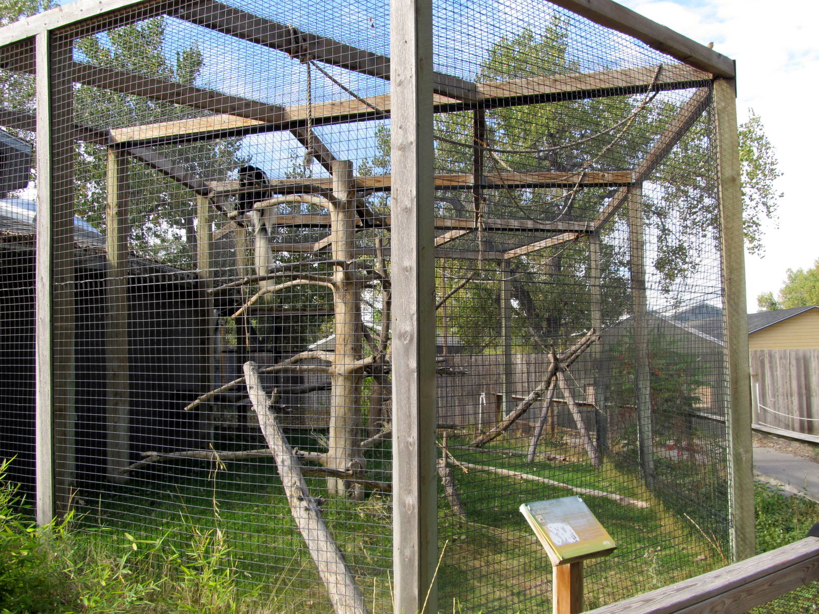 Riverside Zoo - Mantled Guereza Exhibit