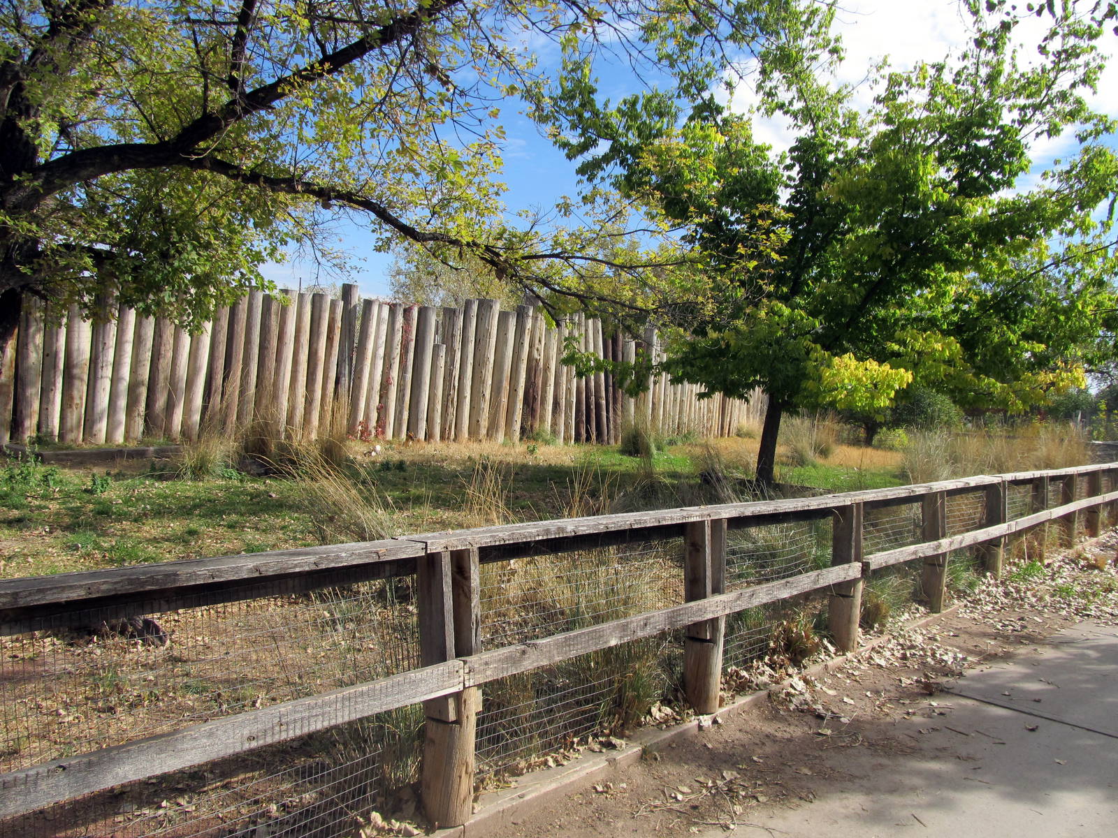 Riverside Zoo - Reeve's Muntjac Exhibit