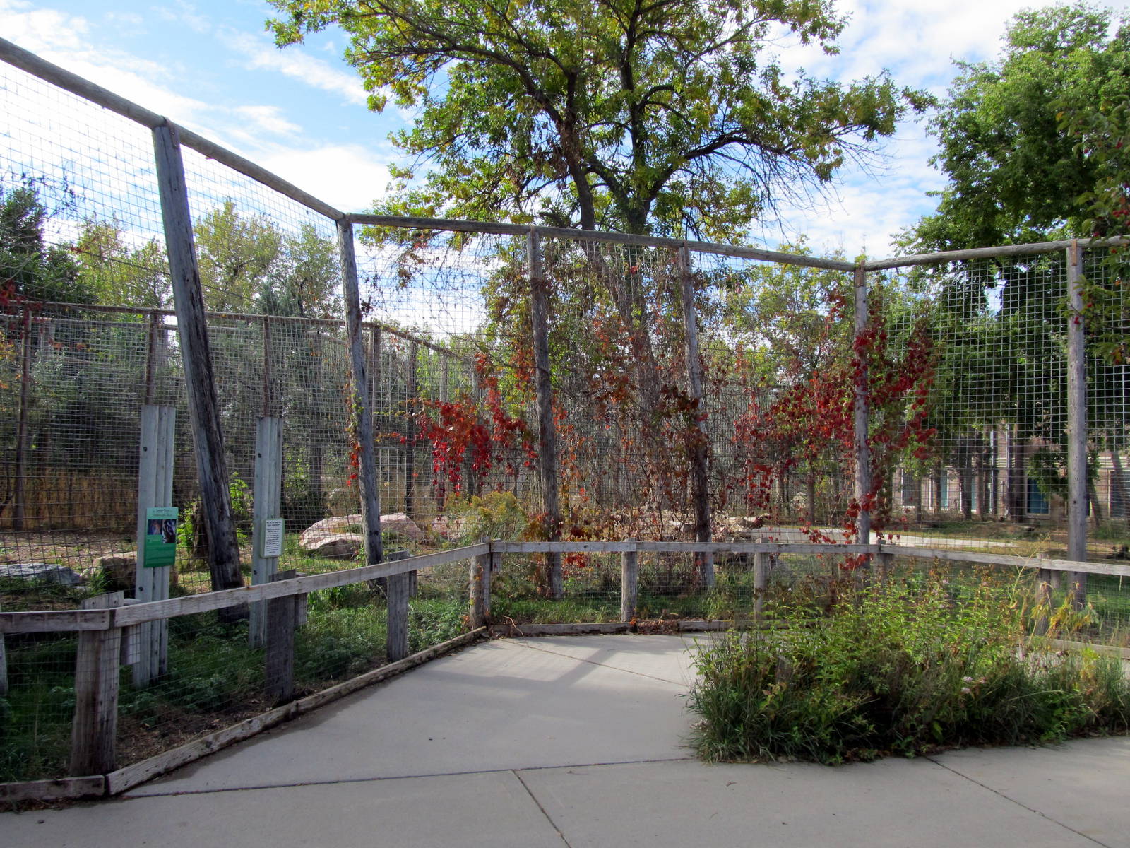 Riverside Zoo - Tiger Exhibit