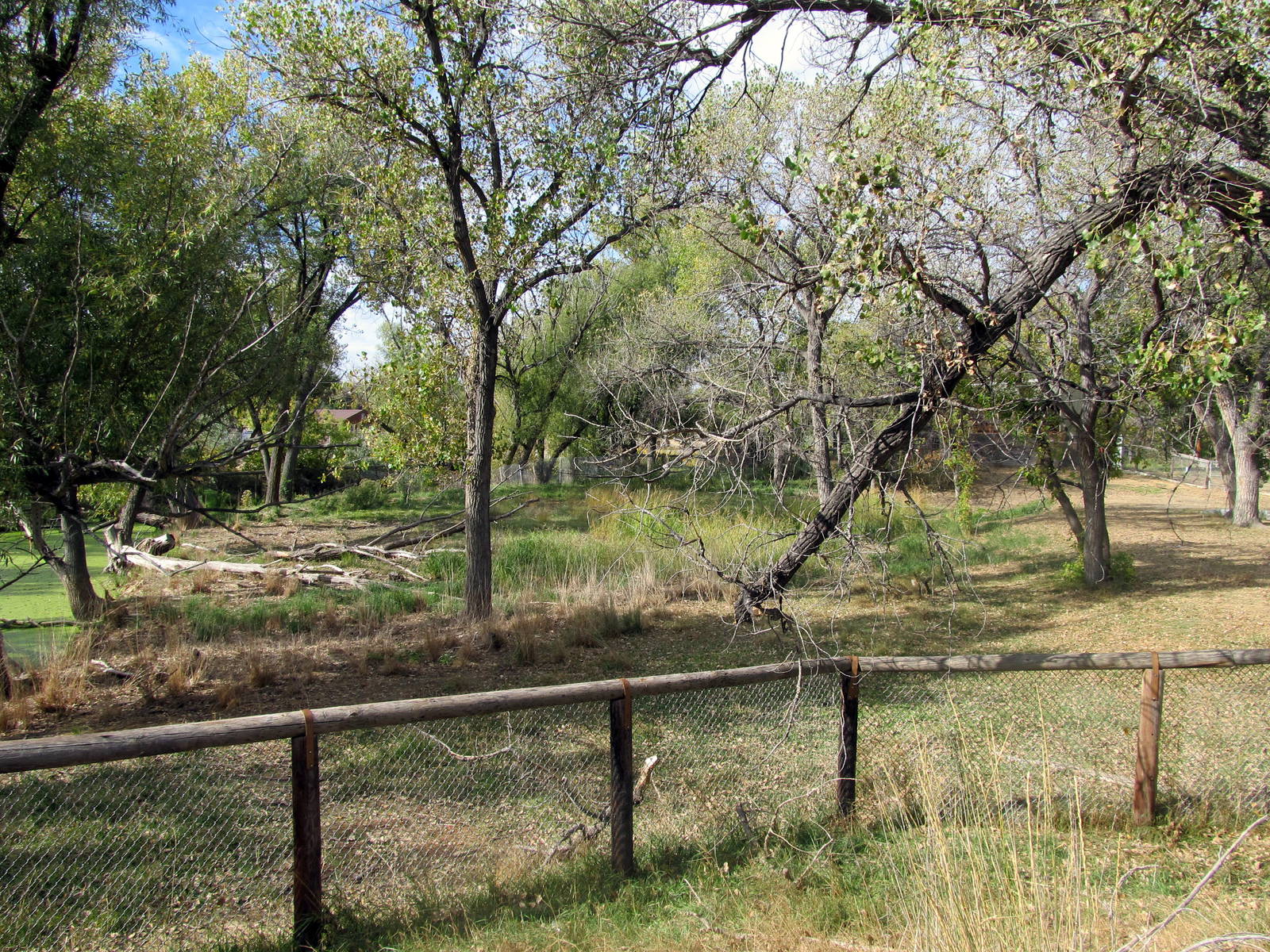 Riverside Zoo - Wild Turkey Exhibit