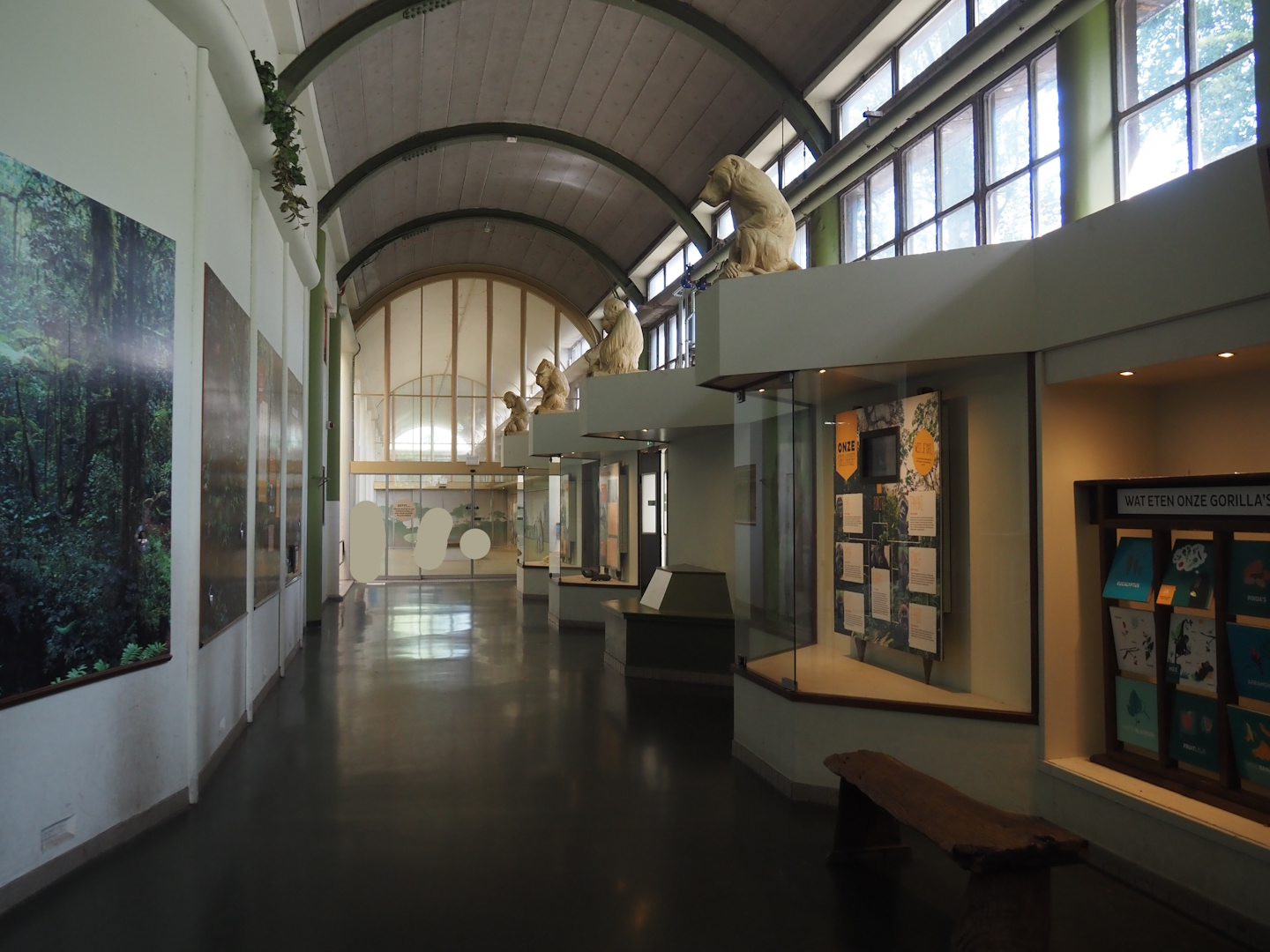 Riviera Hall - Ape and pachyderm wing, 2024-06-30