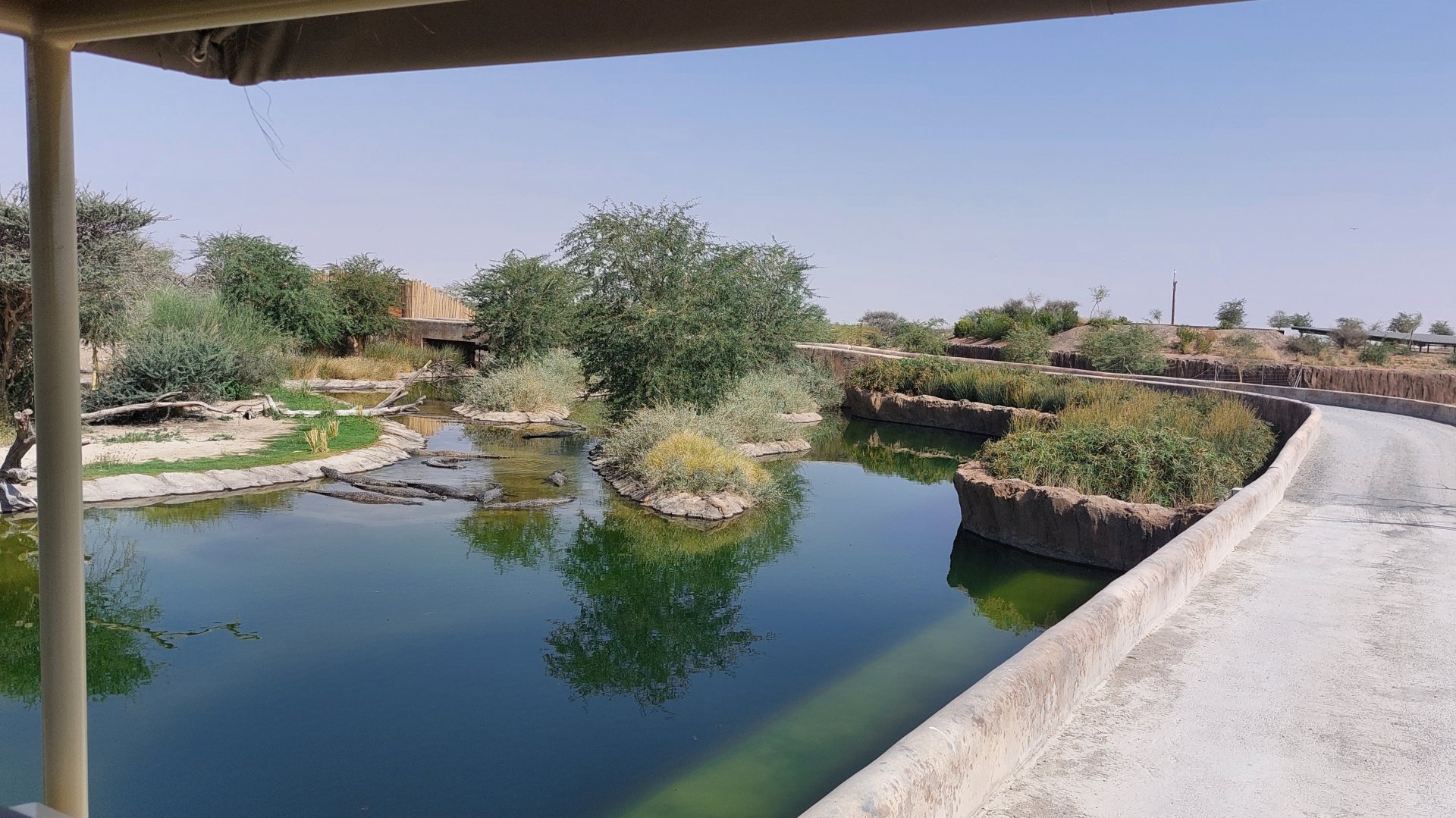 Road along Nile crocodile exhibit