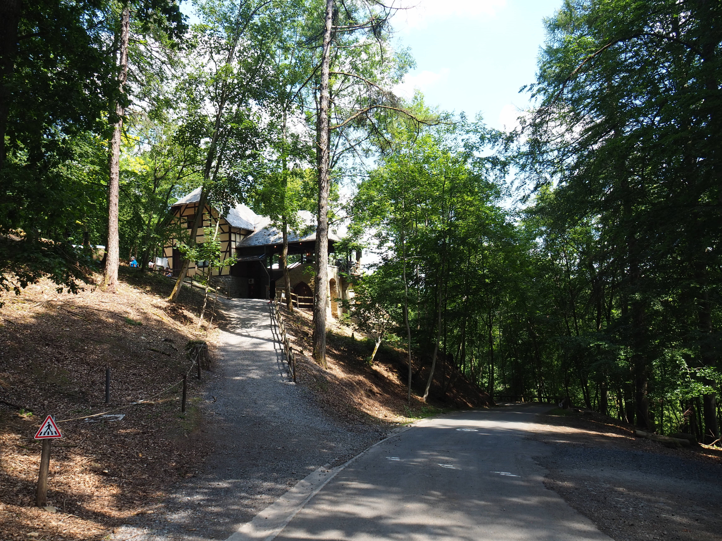 Road from Le Tivoli restaurant and main road in Alpine chamois area, 2020-07-12