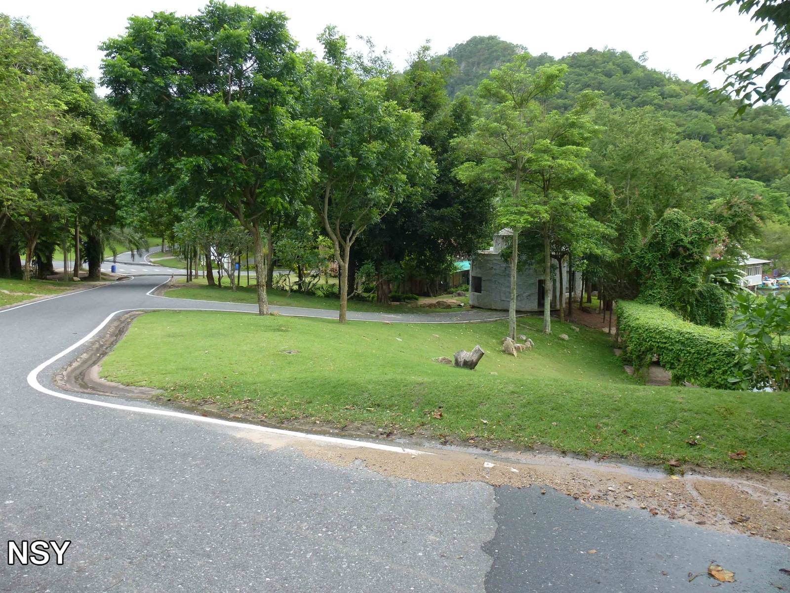 Road in the cat complex, June 2013.