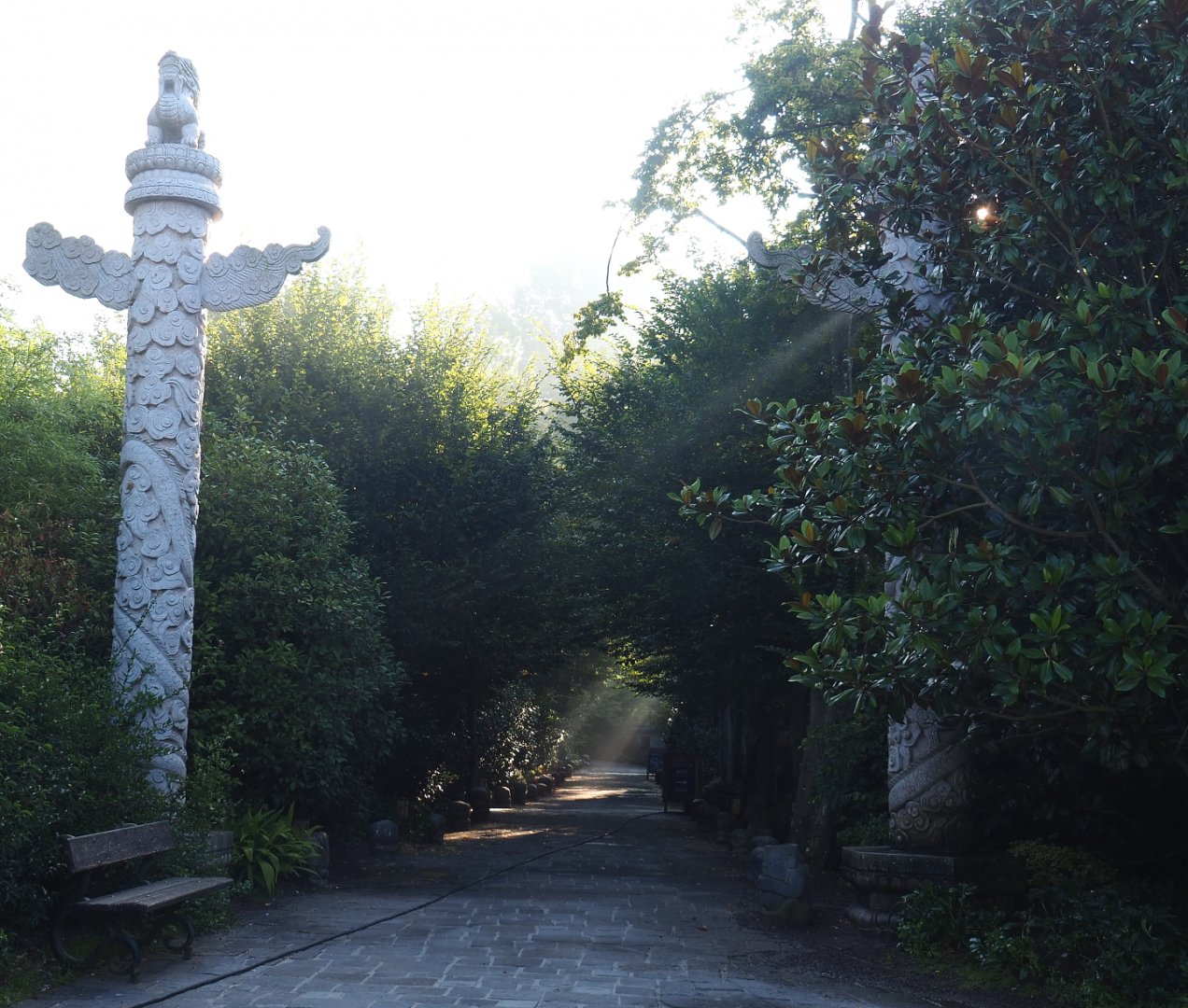 Road in The Middle Kingdom, 2021-09-03