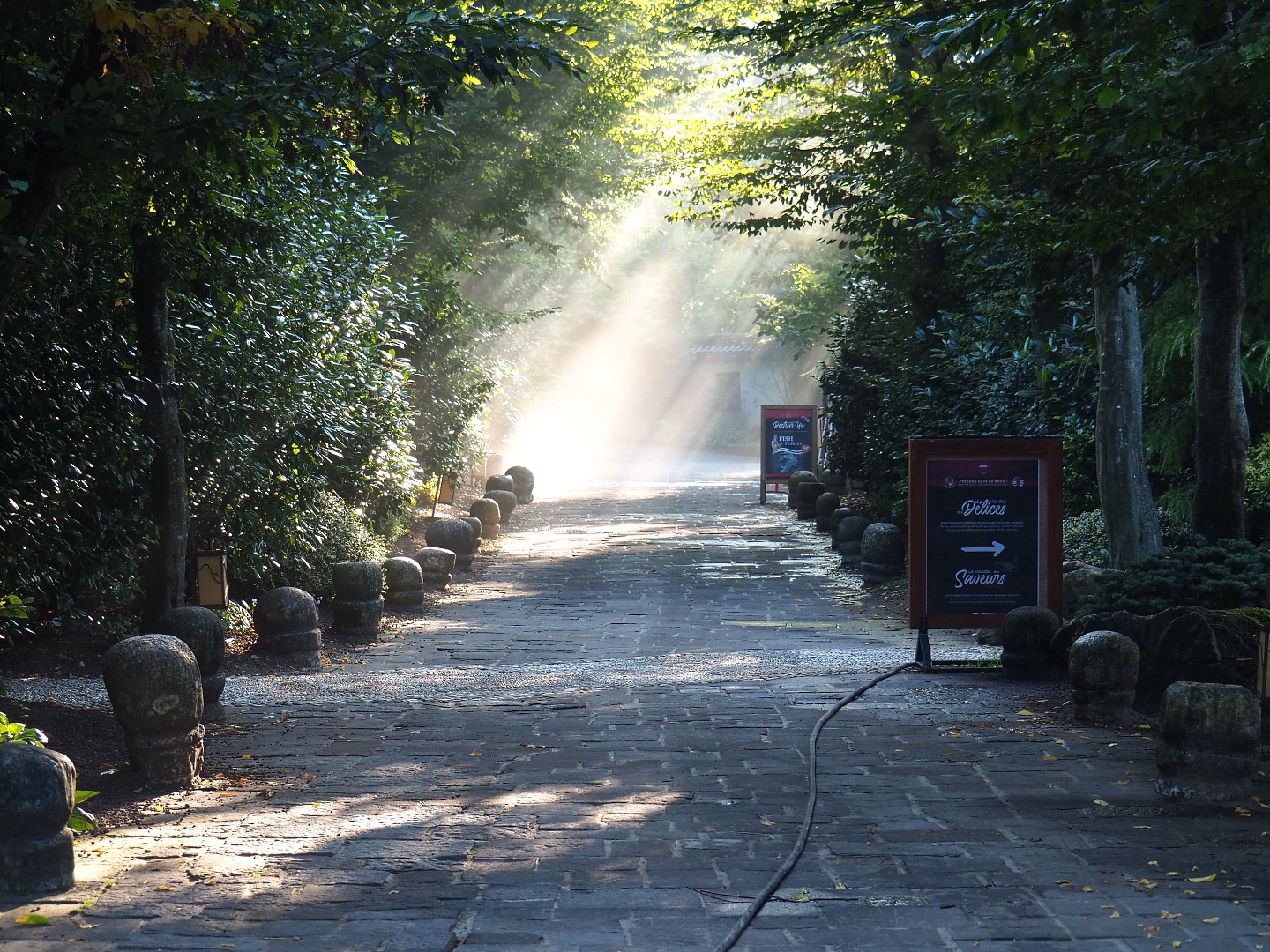 Road in The Middle Kingdom, 2021-09-03