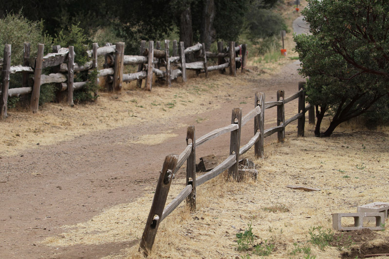 Road near parking lot