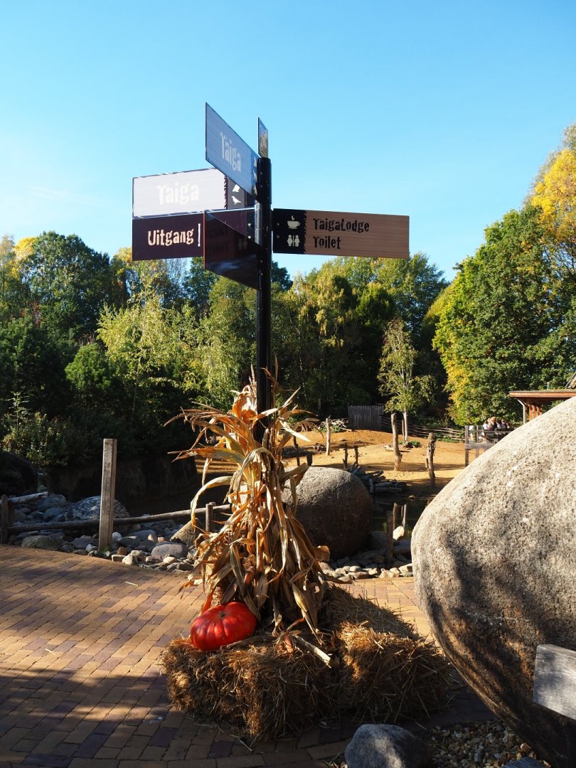 Road signs and fall decoration (Oct 13th, 2018)