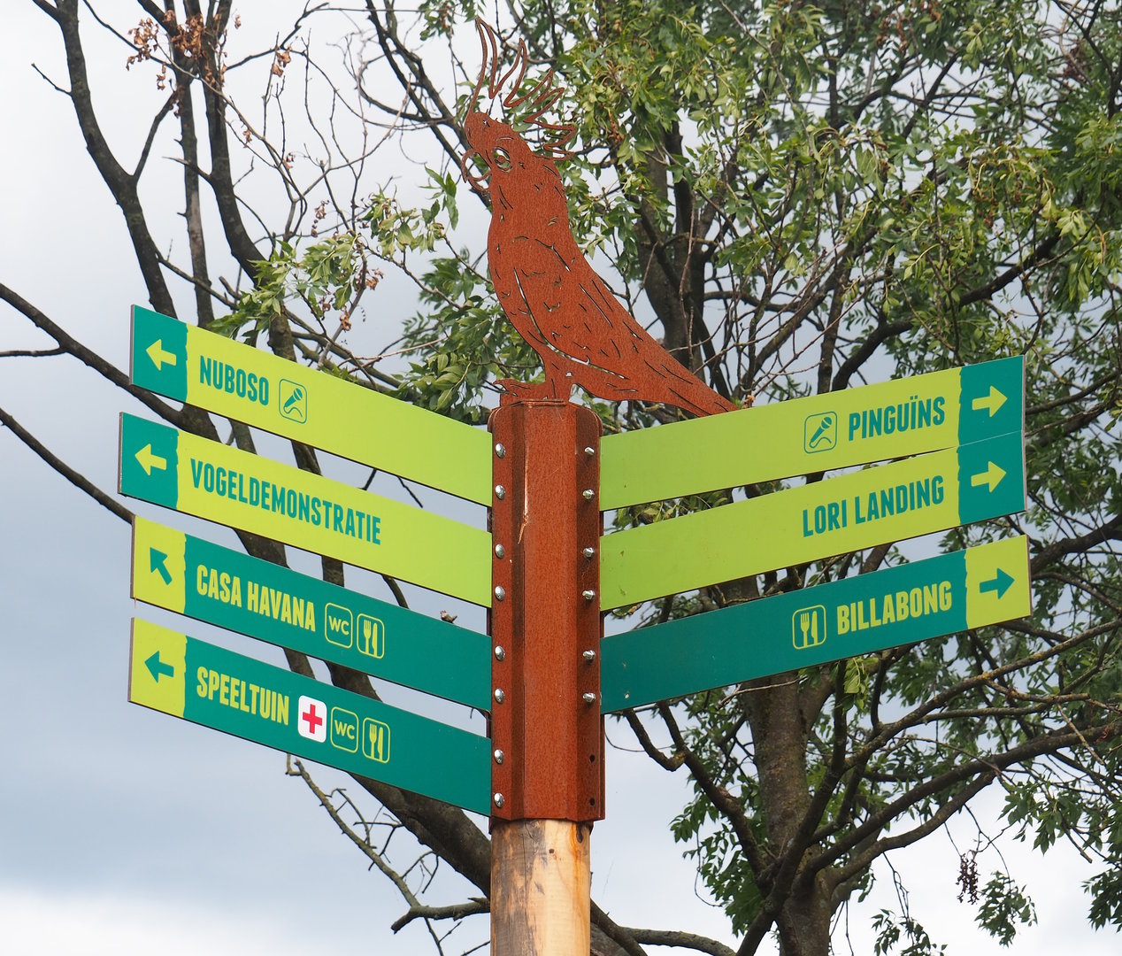 Road signs with metal cut-out cockatoo artwork, 2022-08-28