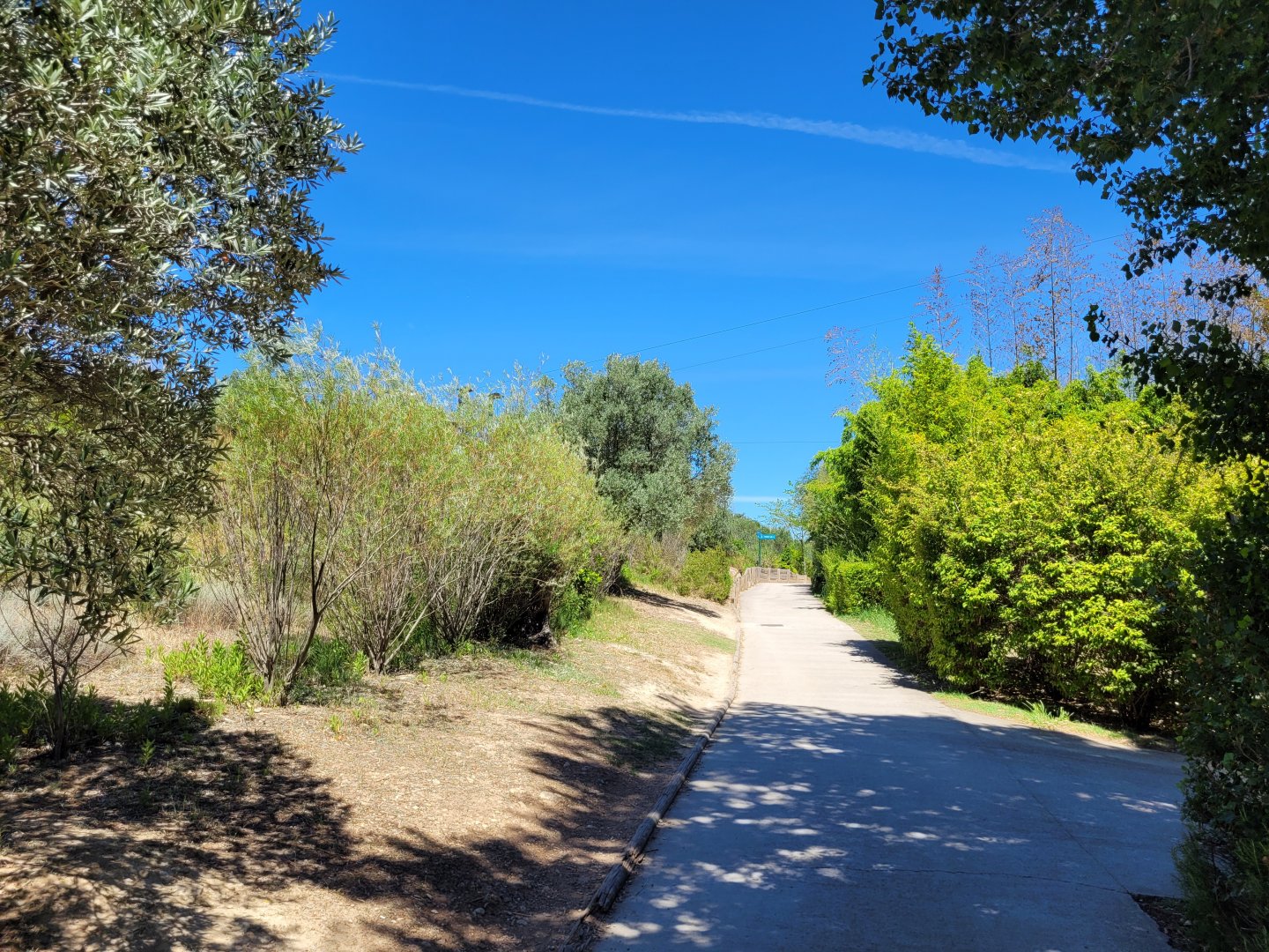 Road thorwards "Aves" area -Sendaviva (2024)