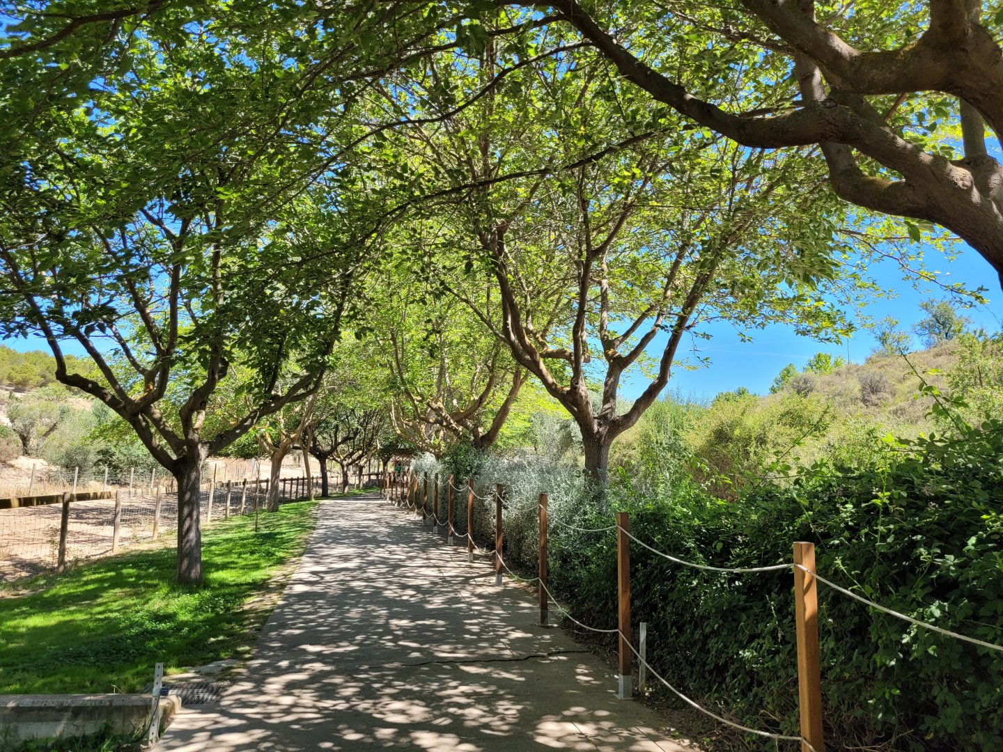 Road thorwards "Lago" area -Sendaviva (2024)