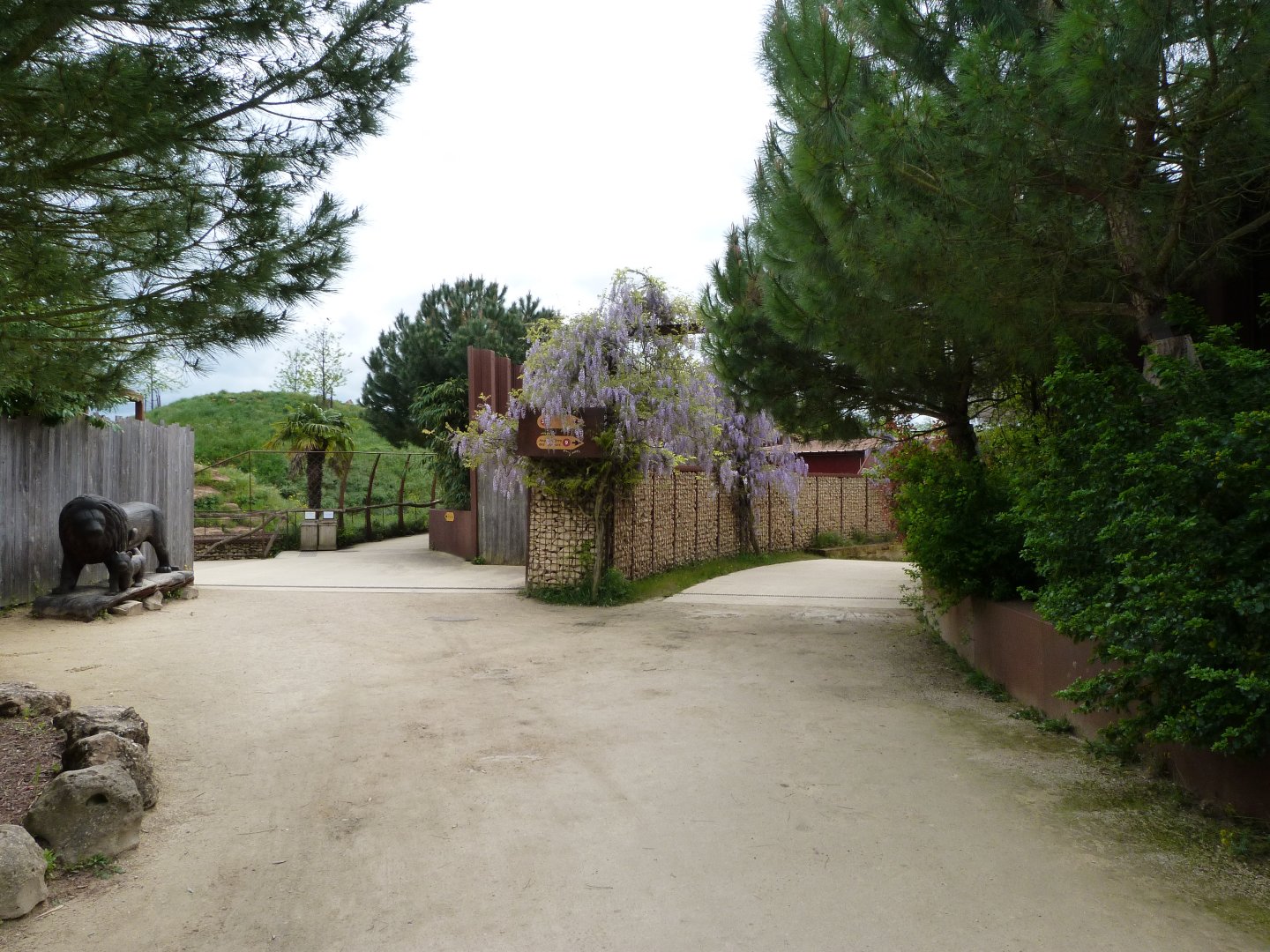 Road thorwards "Le Cratère des carnivores" or "Les Fantômes de l’Himalaya" -Bioparc de Doué la Fontaine (2025)
