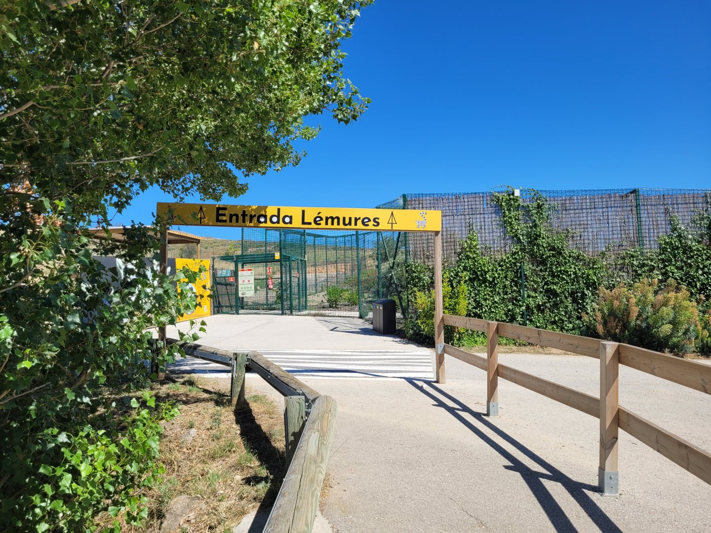 Road thorwards lemur exhibit -Sendaviva (2024)