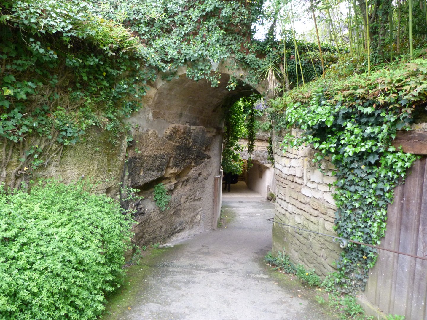 Road thorwards lower level of the zoo -Bioparc de Doué la Fontaine (2025)