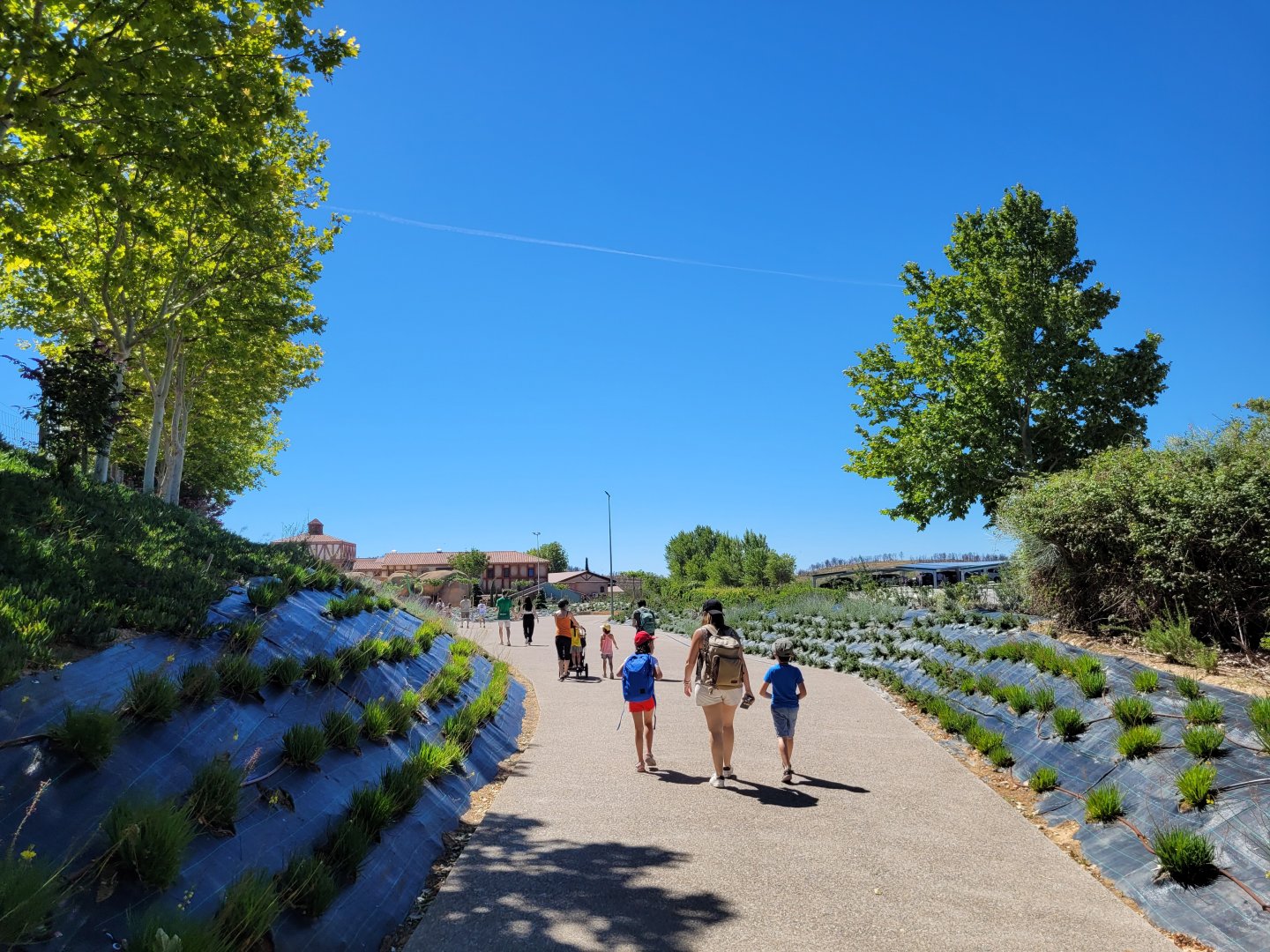 Road thorwards park gates -Sendaviva (2024)