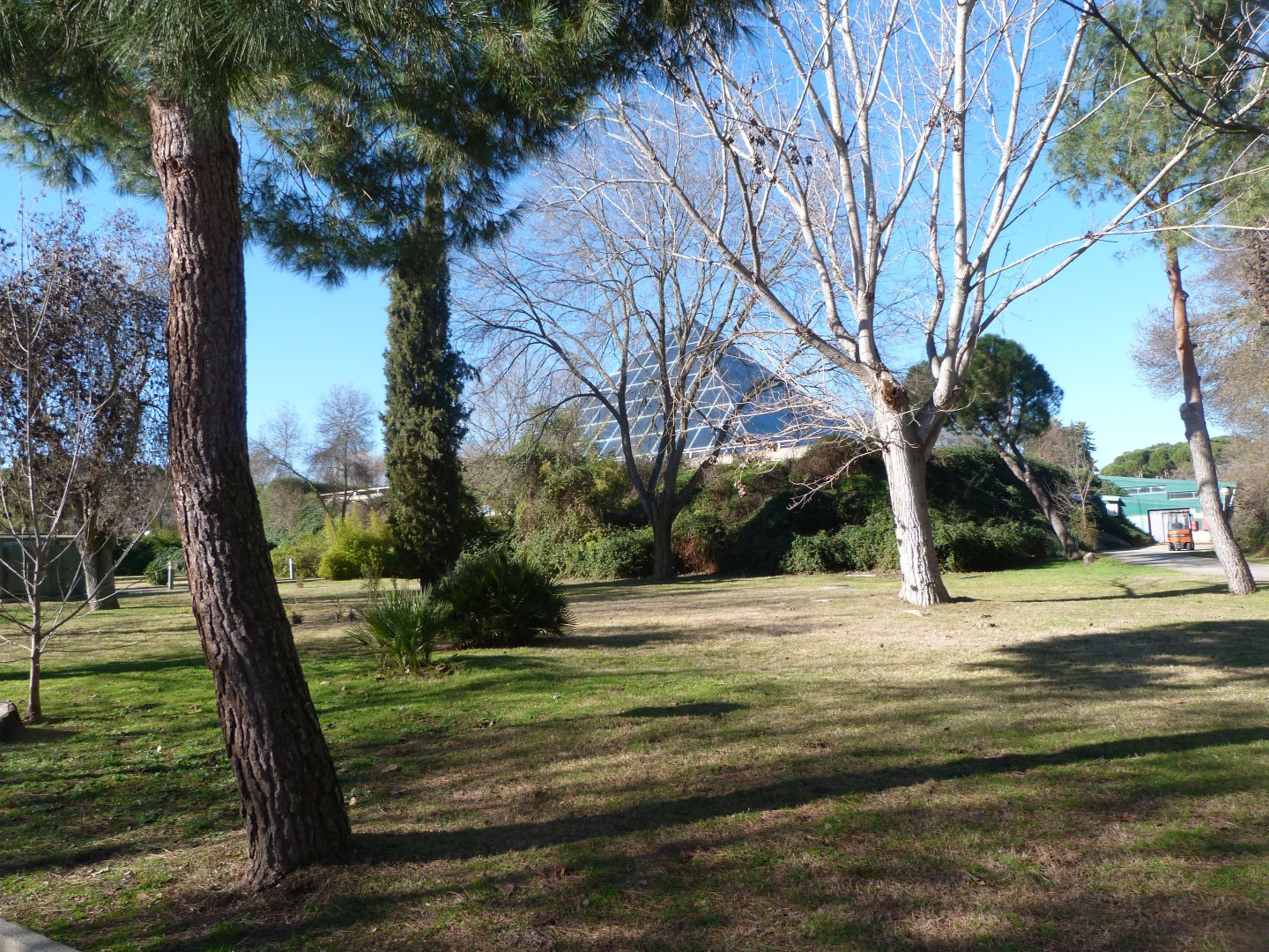 Road thorwards the Aquarium -Zoo Aquarium de Madrid (2025)