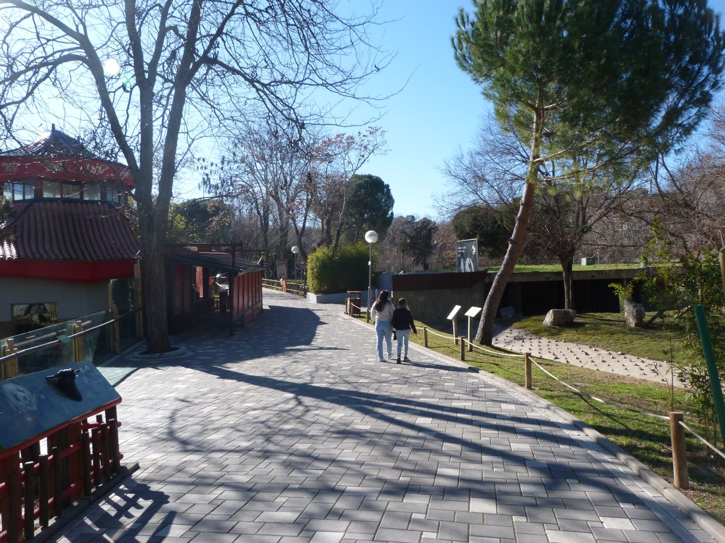 Road thorwards the pandas -Zoo Aquarium de Madrid (2025)