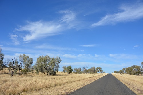 Road through Mitchell grass plains.