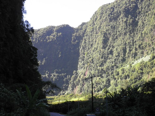 Road through mountains.  Reunion.  (Tropic birds seen  here)