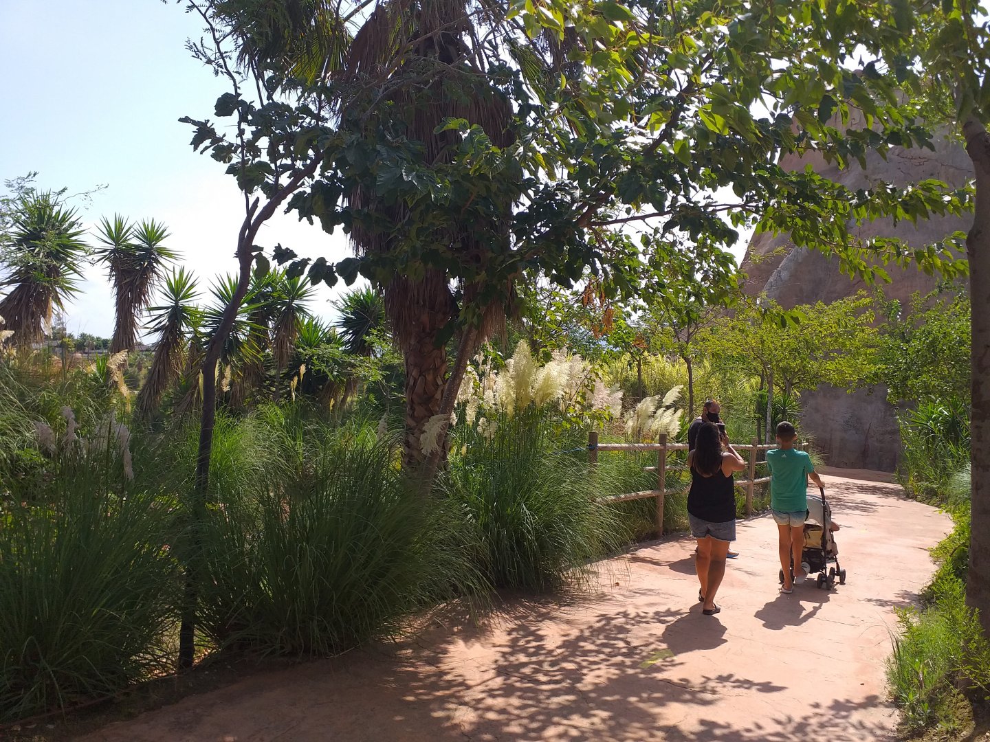 Road to Asia -TerraNatura Benidorm (2021)